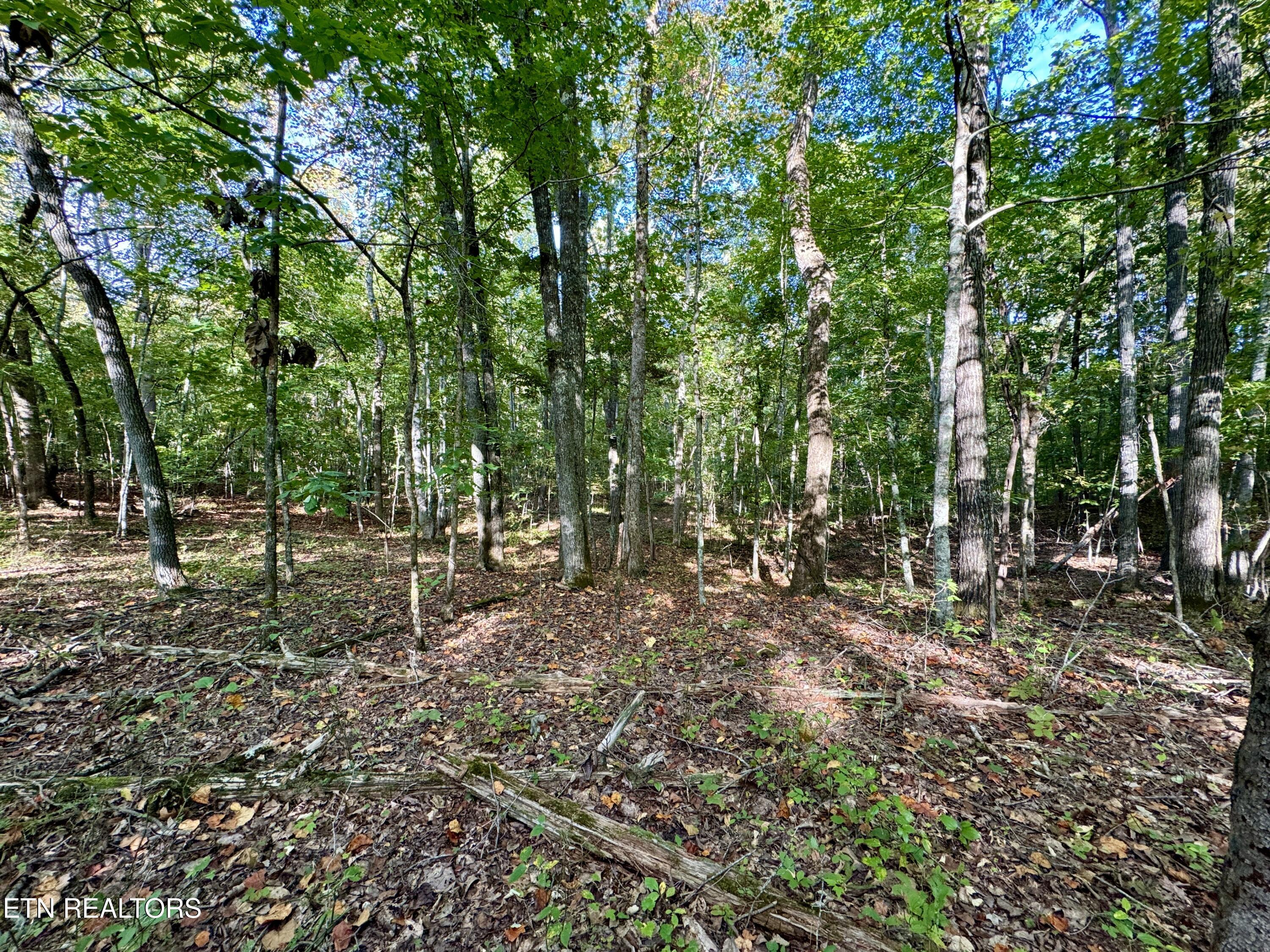 148 Cate Road Kingston TN 37763