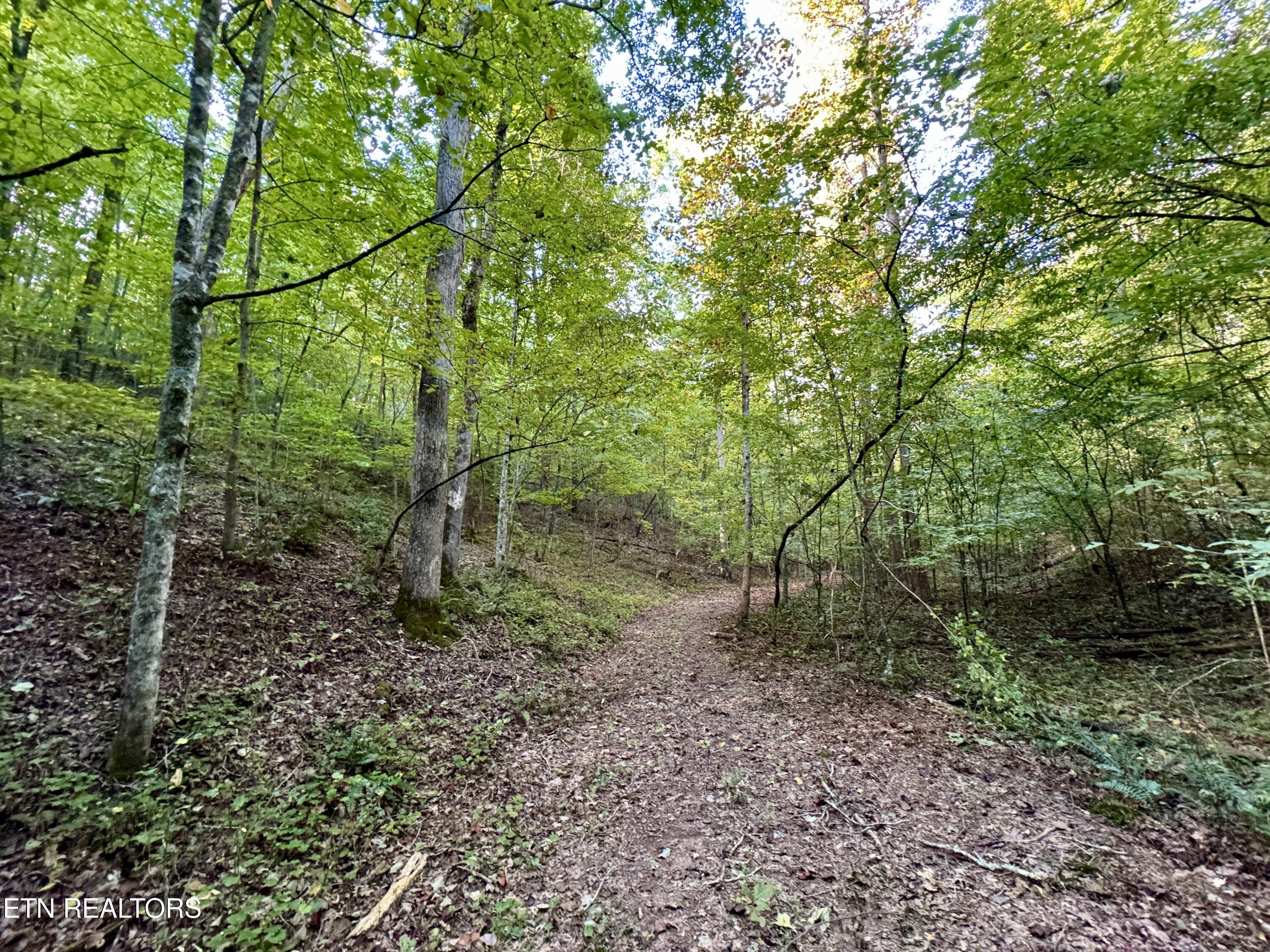 148 Cate Road Kingston TN 37763