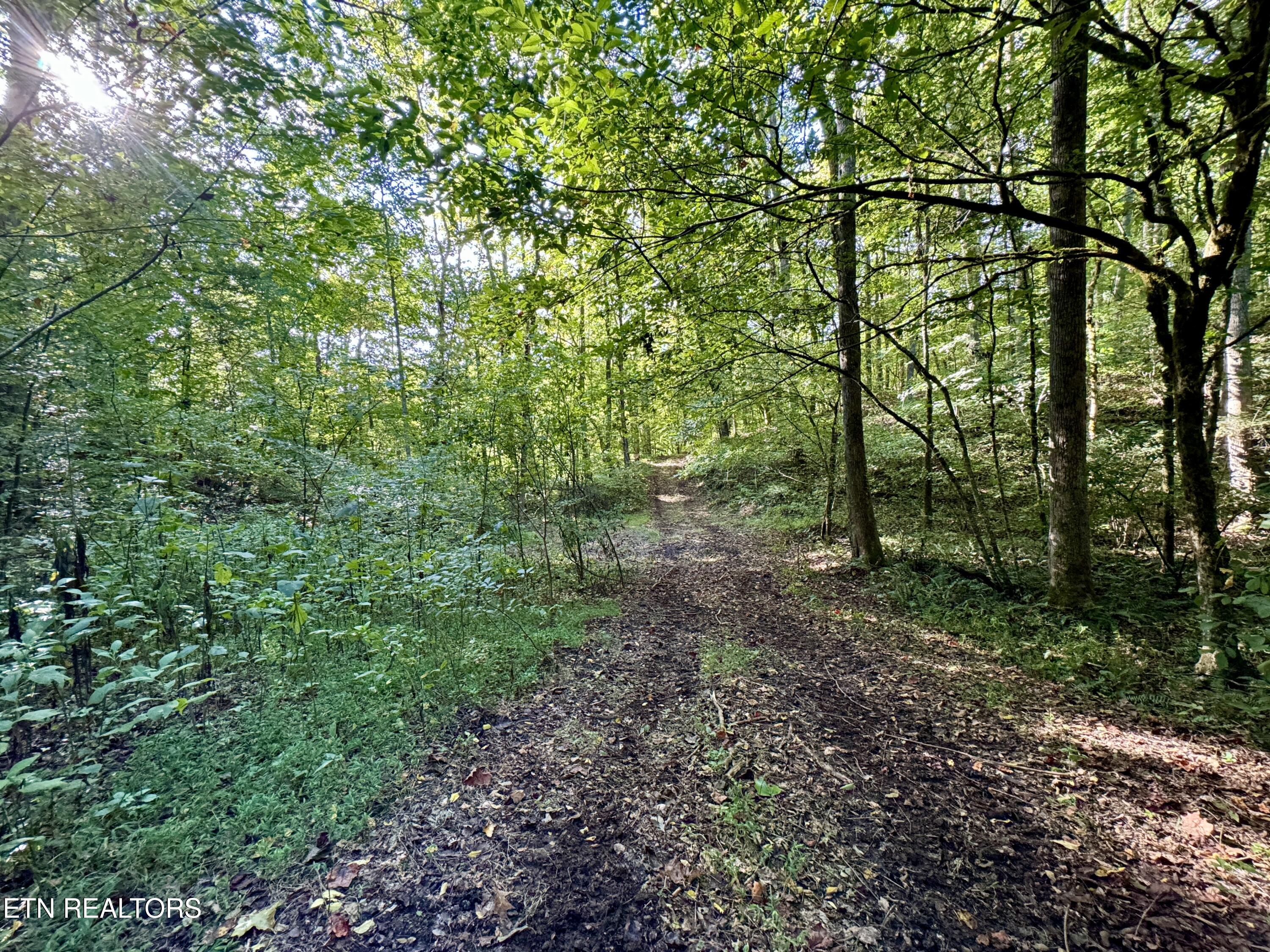 148 Cate Road Kingston TN 37763