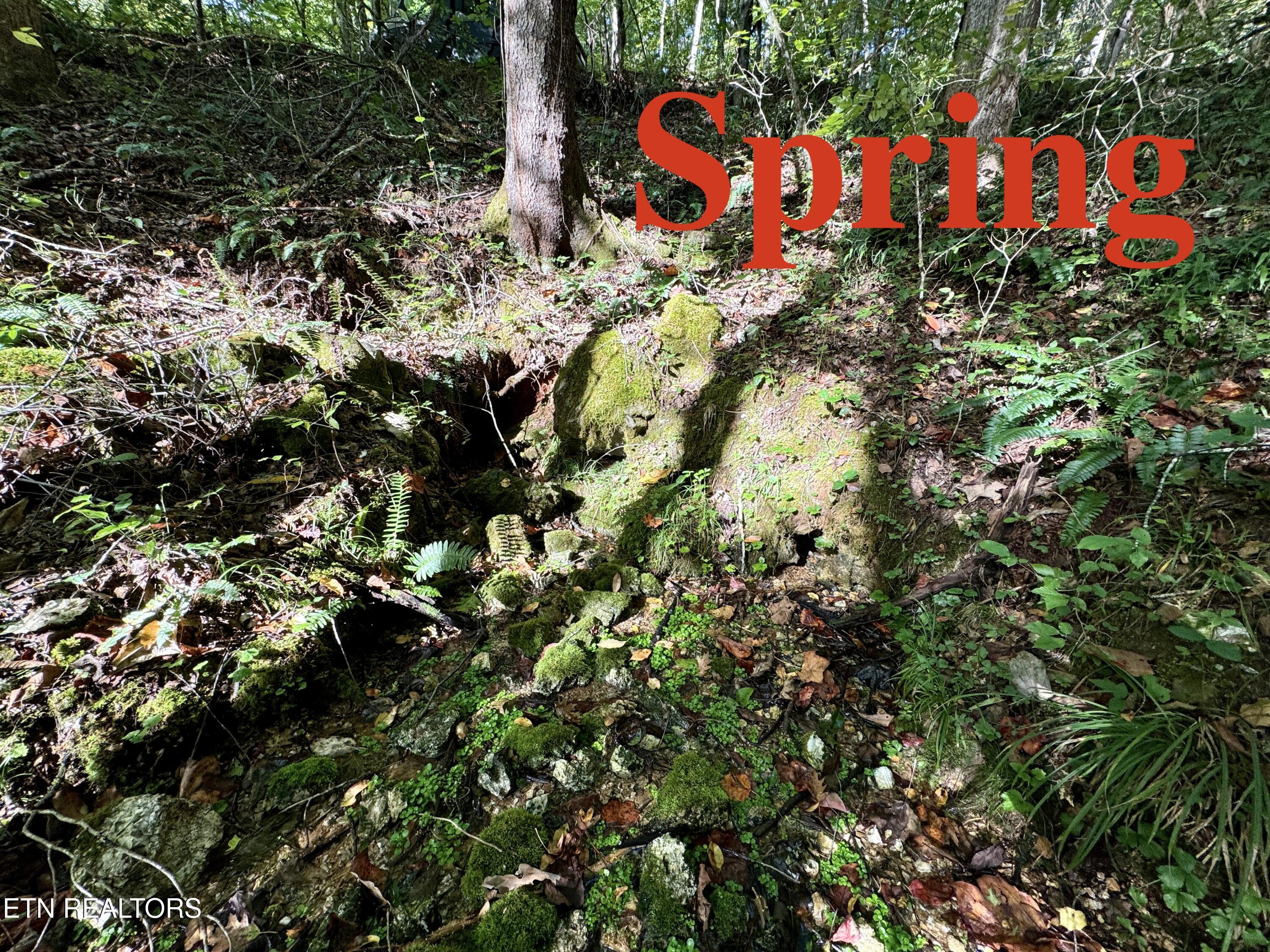 148 Cate Road Kingston TN 37763