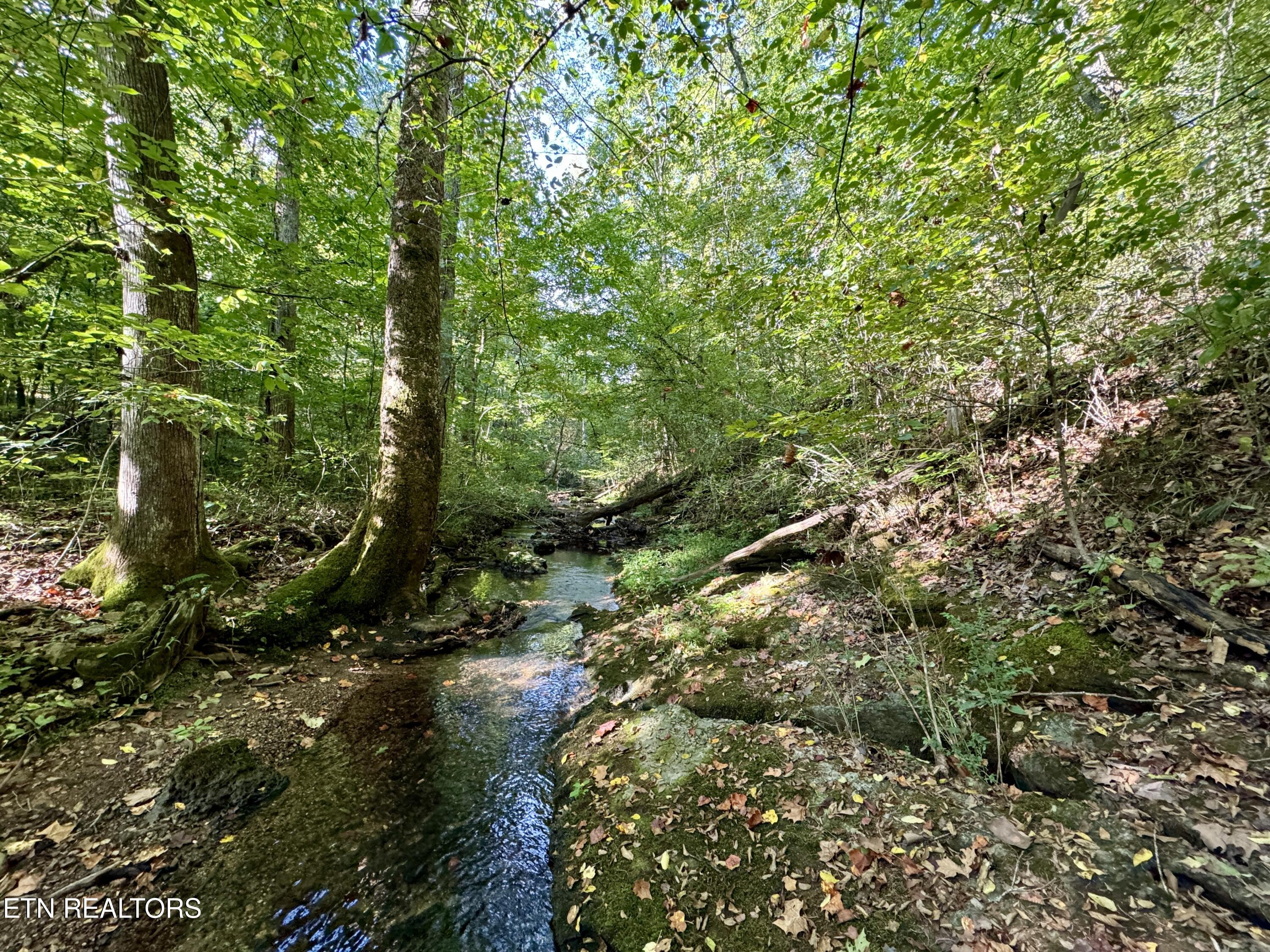 148 Cate Road Kingston TN 37763