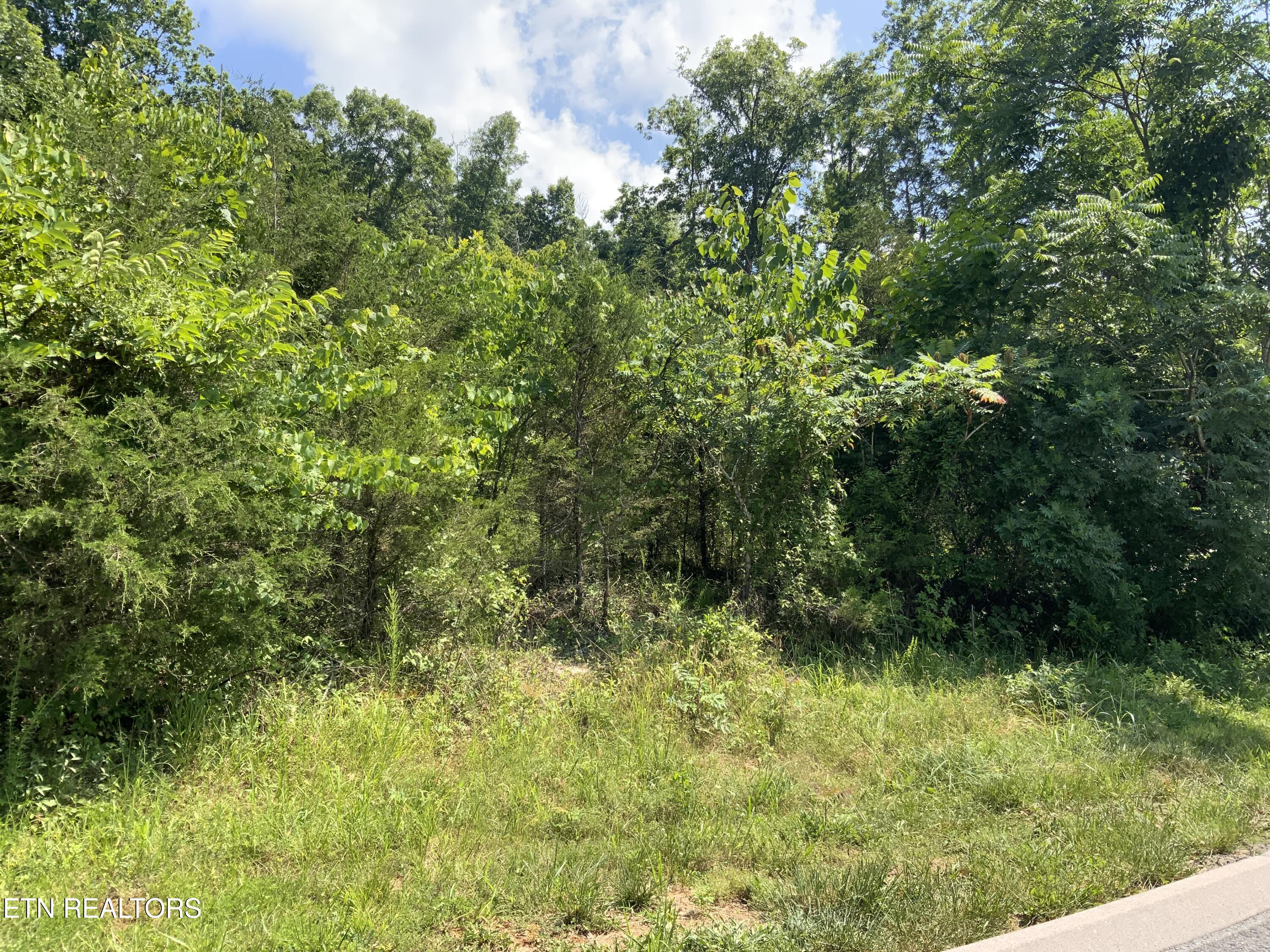 Eagles Ridge New Tazewell TN 37825