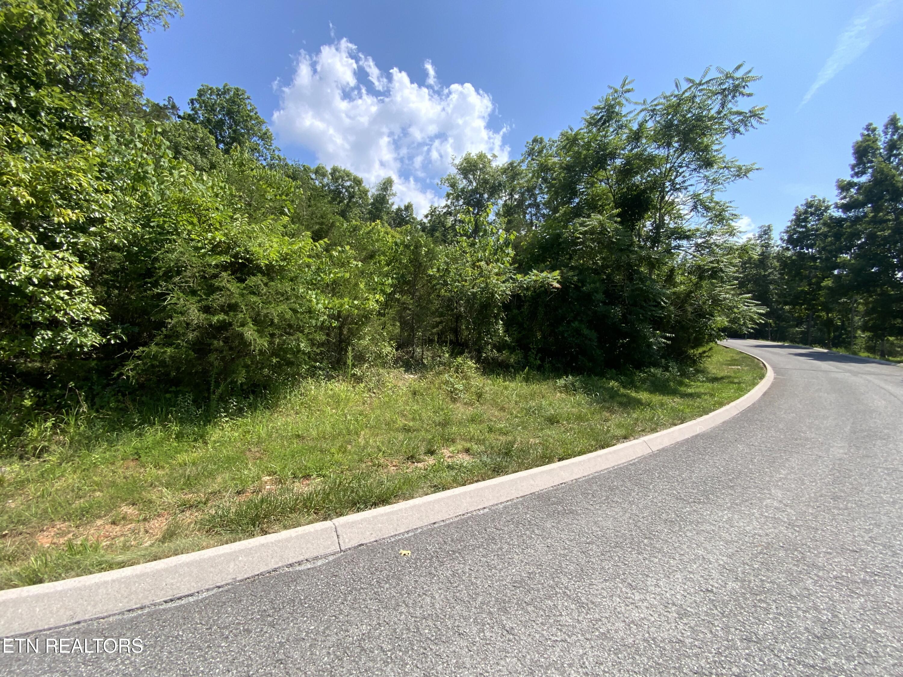 Eagles Ridge New Tazewell TN 37825