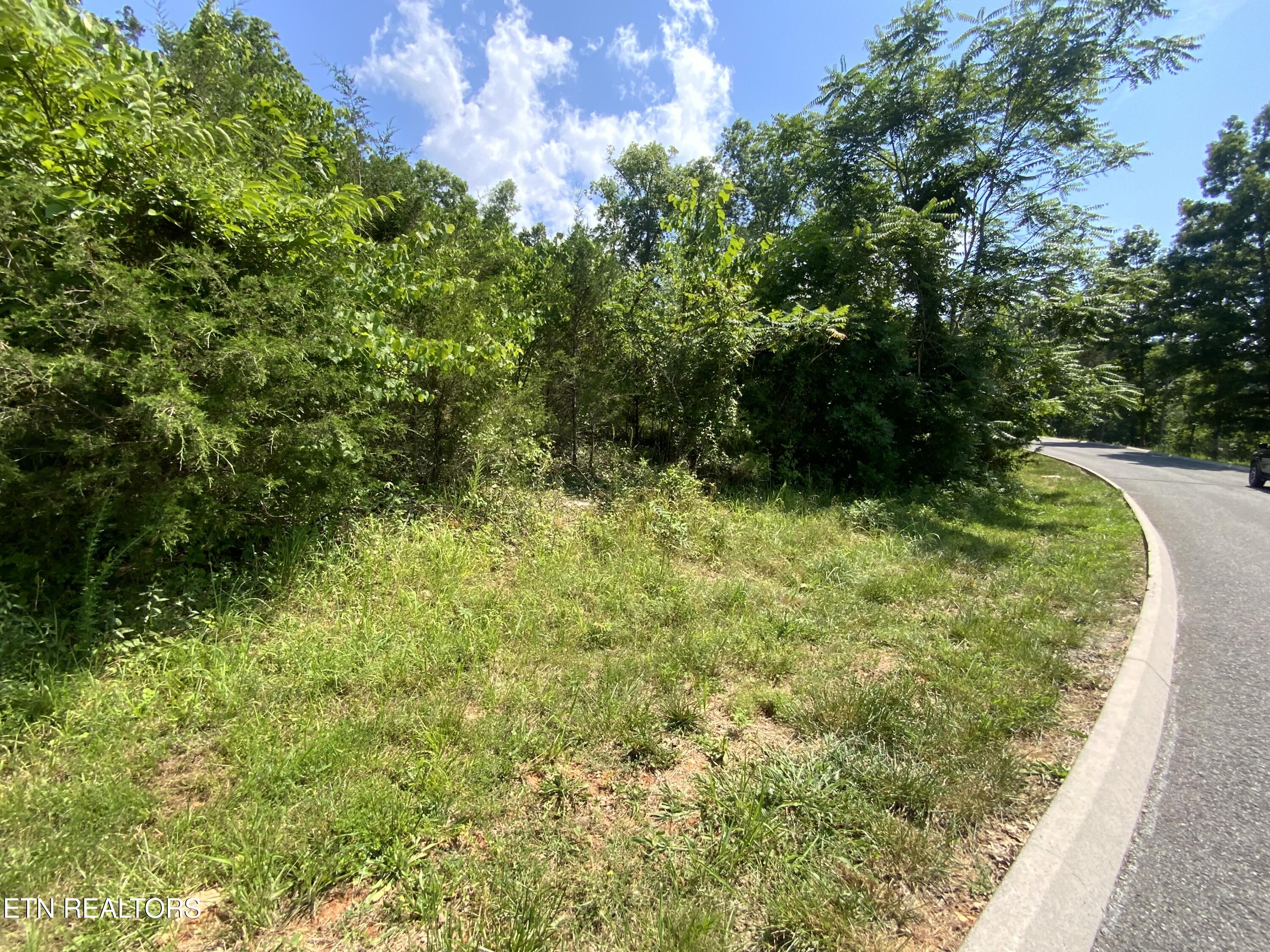 Eagles Ridge New Tazewell TN 37825