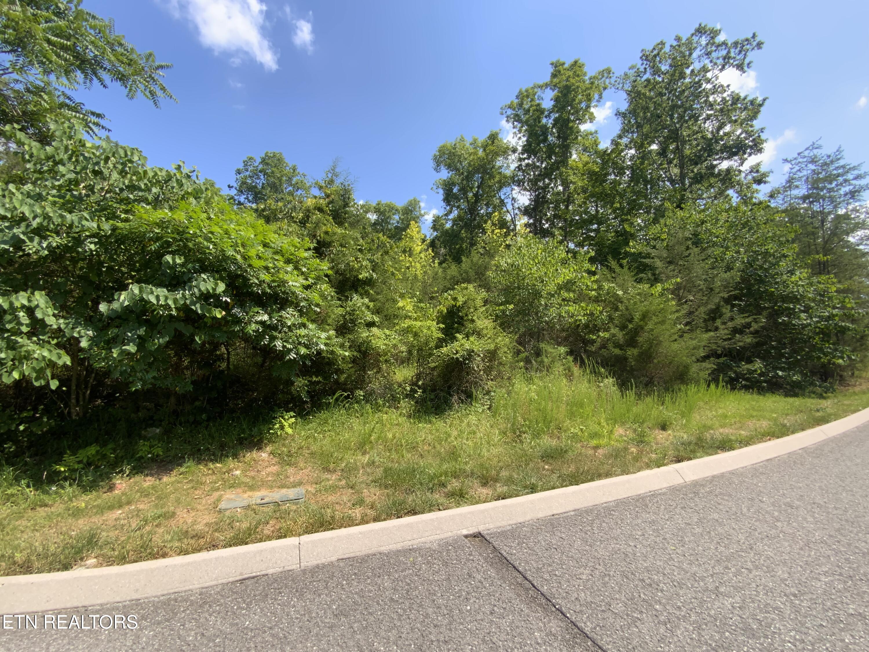 Eagles Ridge New Tazewell TN 37825