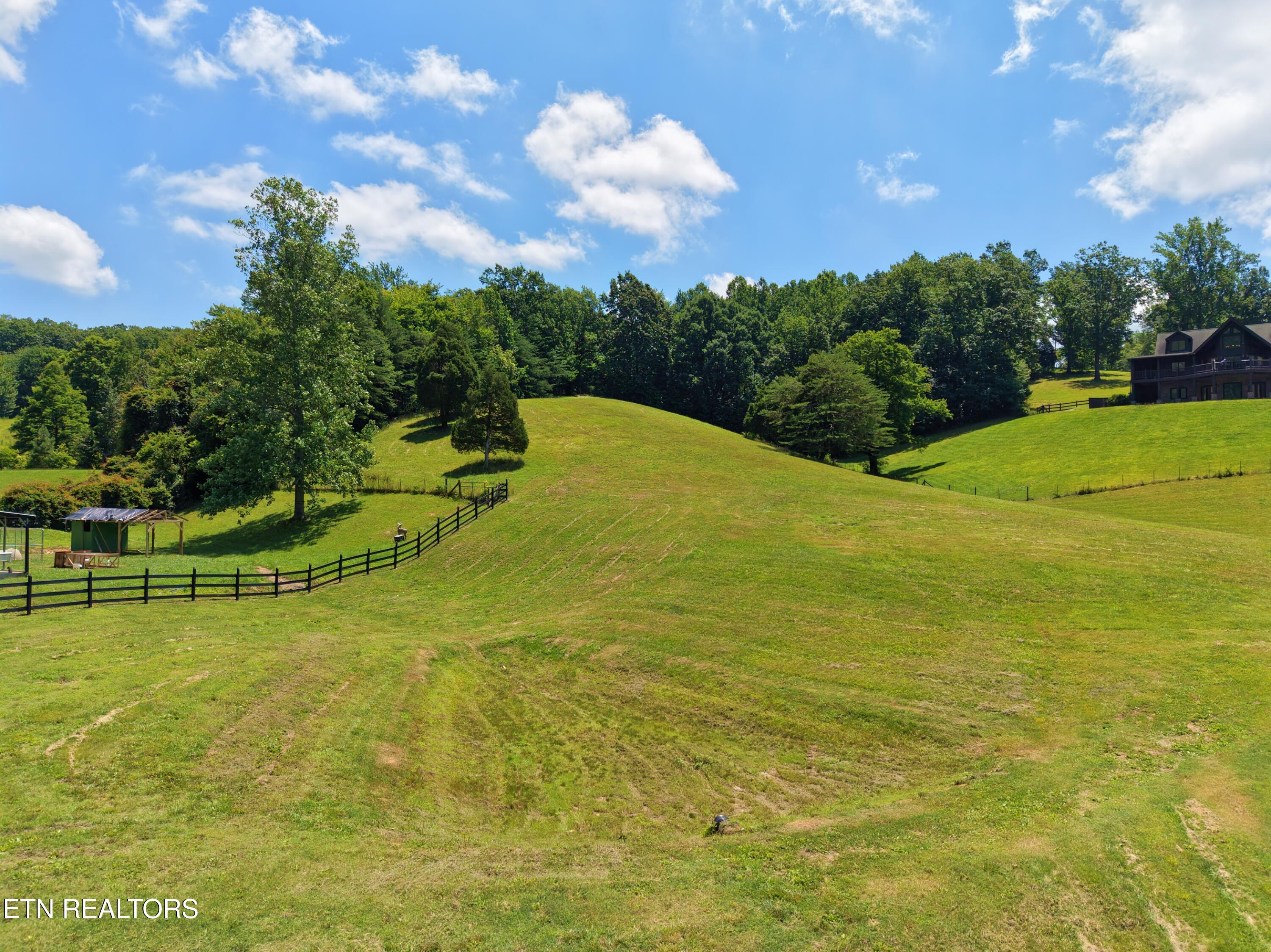 1319 Ideal Valley Road Spring City TN 37381