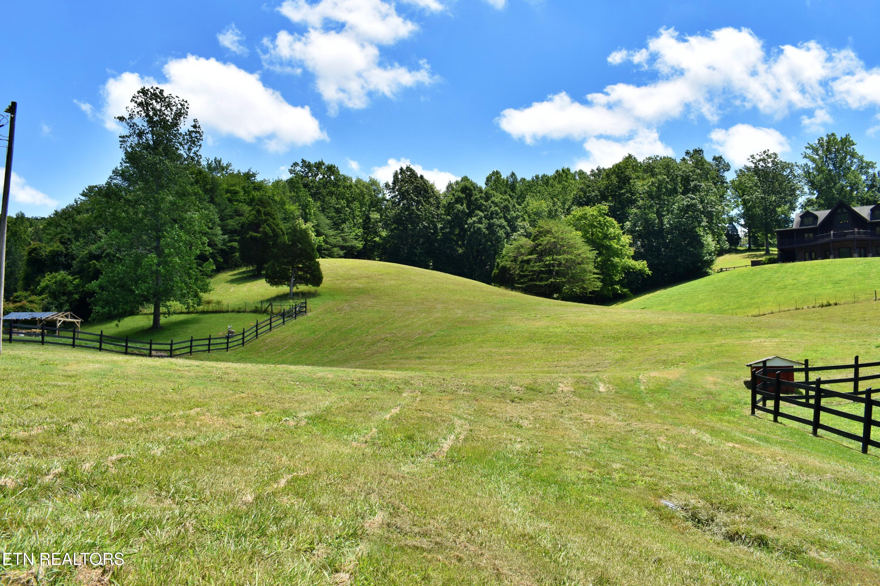 1319 Ideal Valley Road Spring City TN 37381