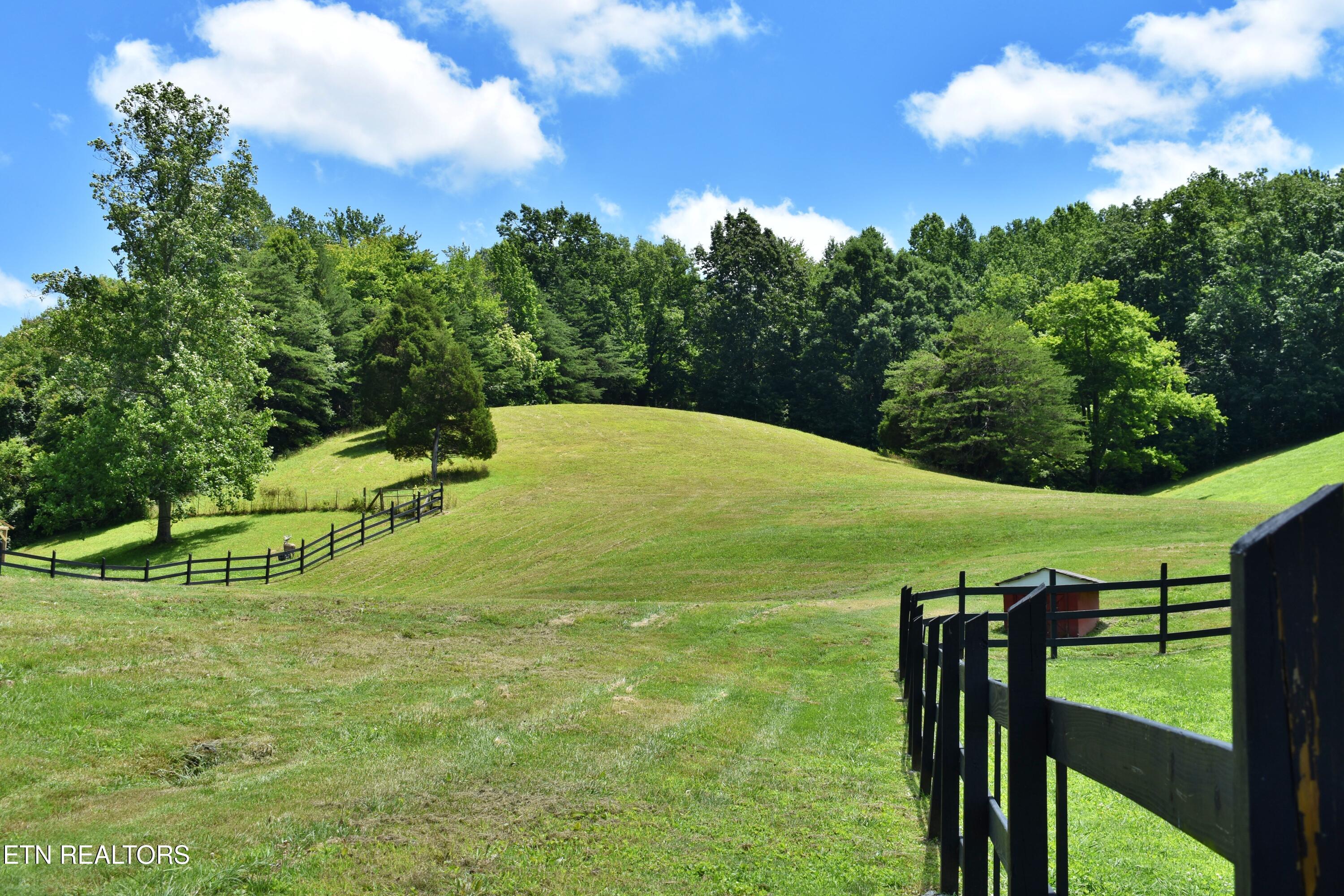 1319 Ideal Valley Road Spring City TN 37381
