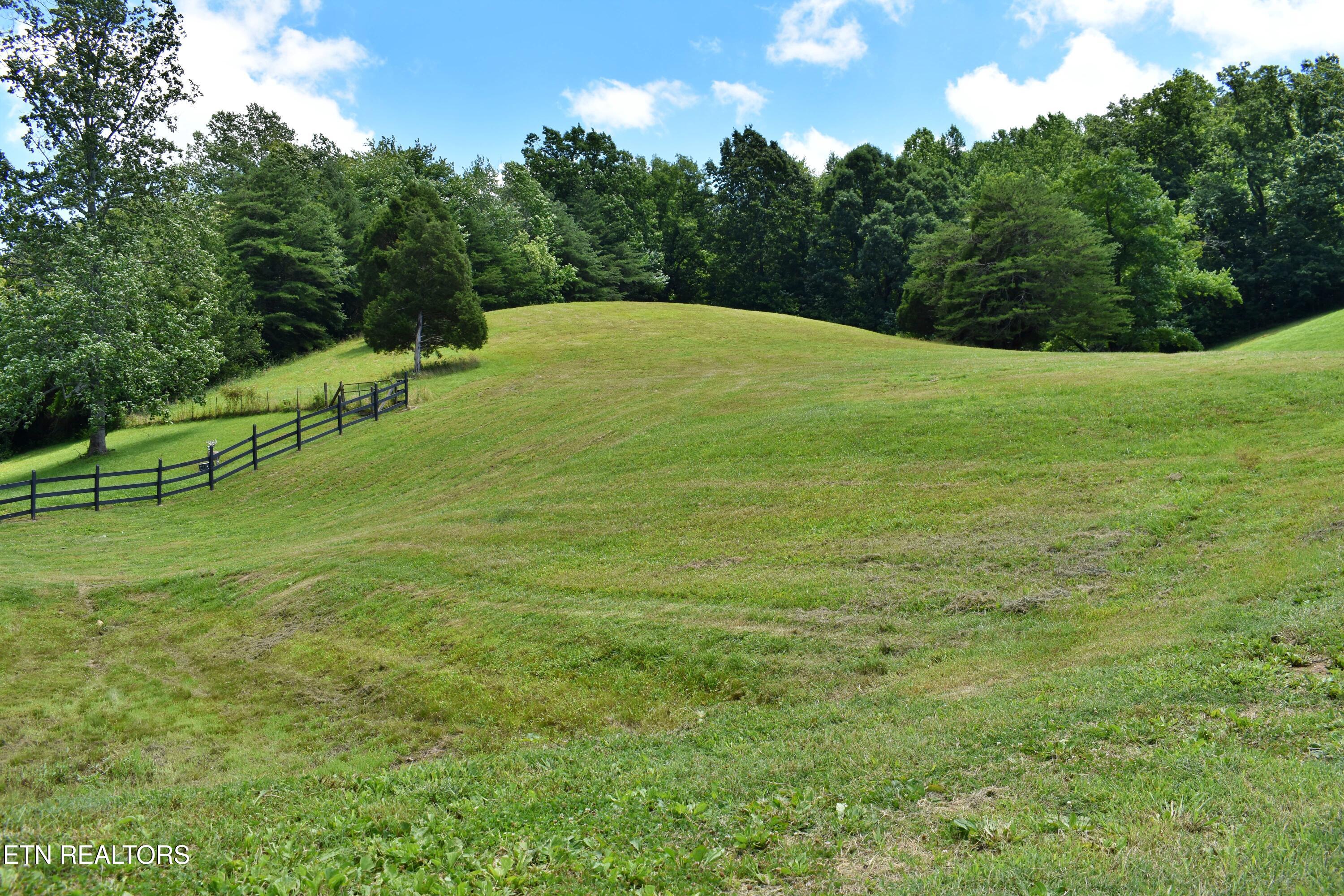 1319 Ideal Valley Road Spring City TN 37381