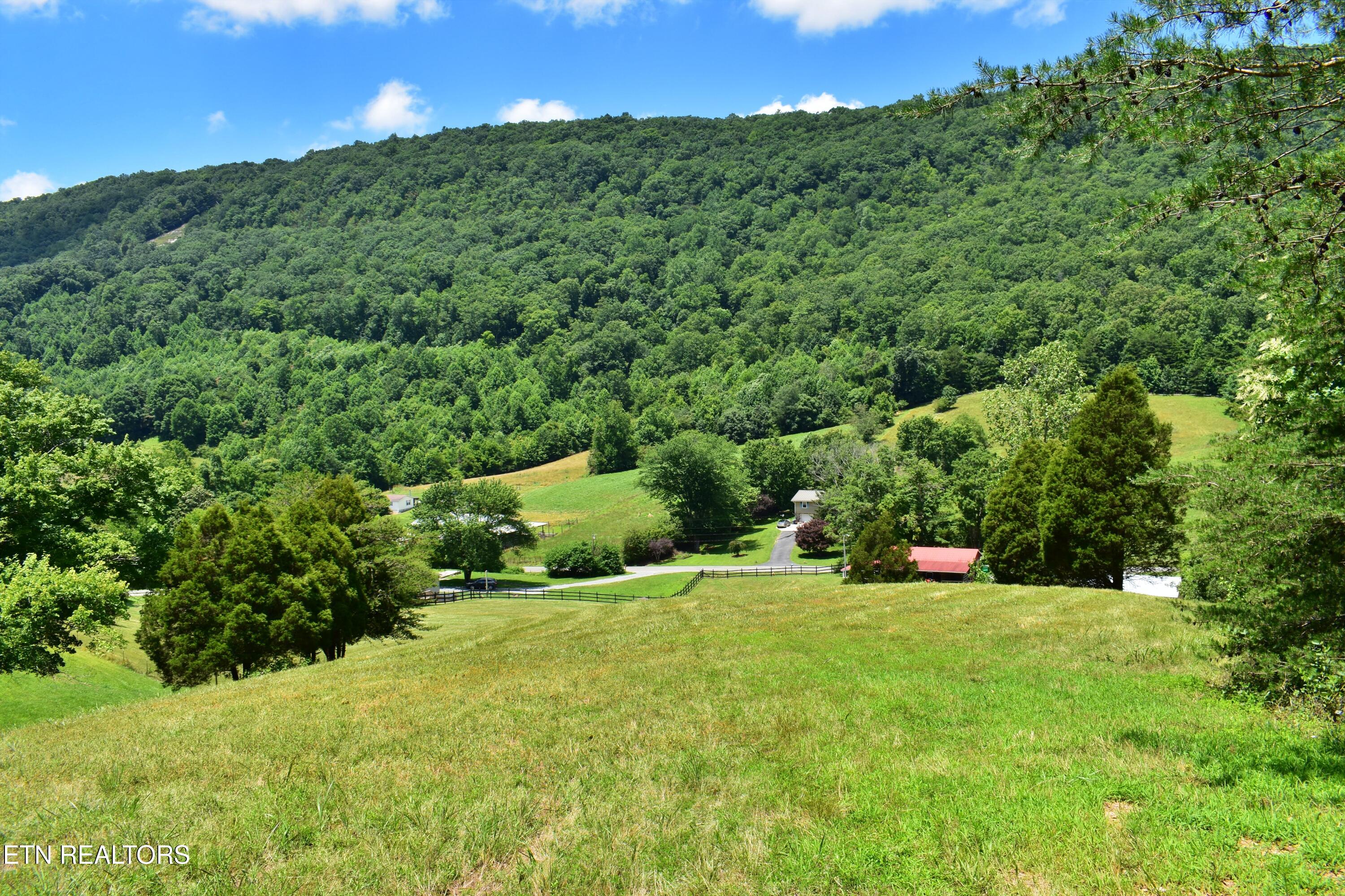 1319 Ideal Valley Road Spring City TN 37381