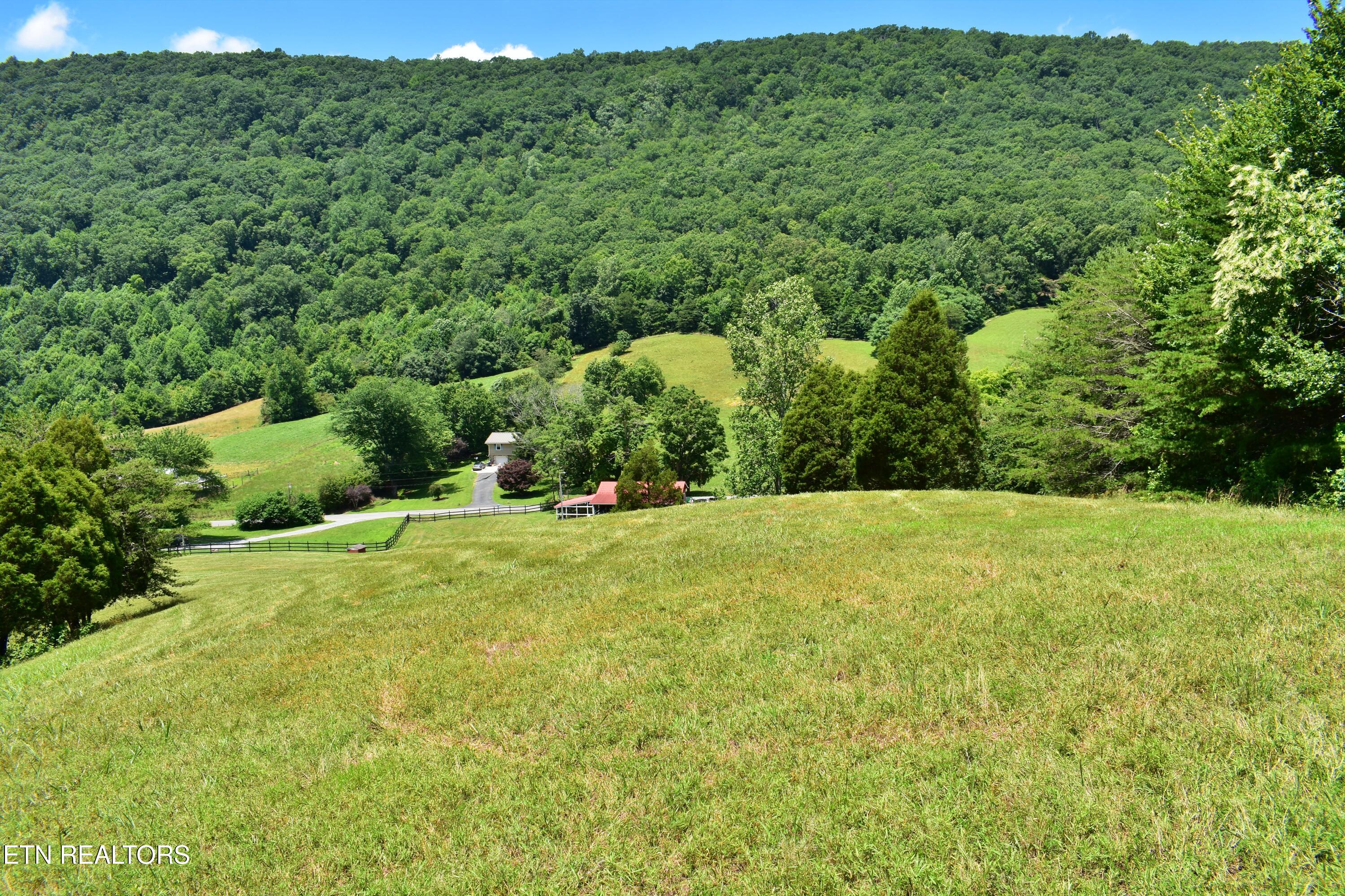 1319 Ideal Valley Road Spring City TN 37381