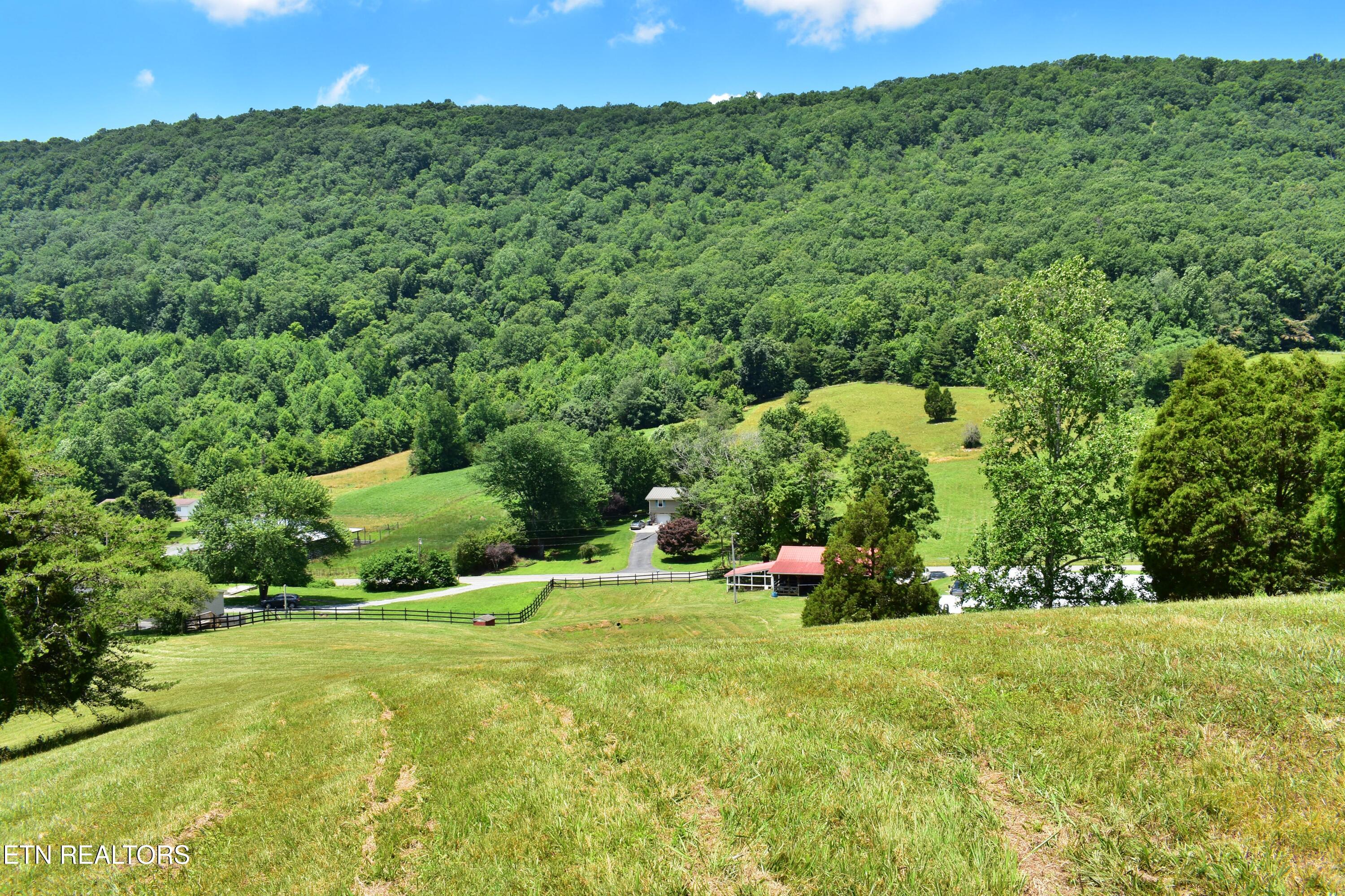 1319 Ideal Valley Road Spring City TN 37381