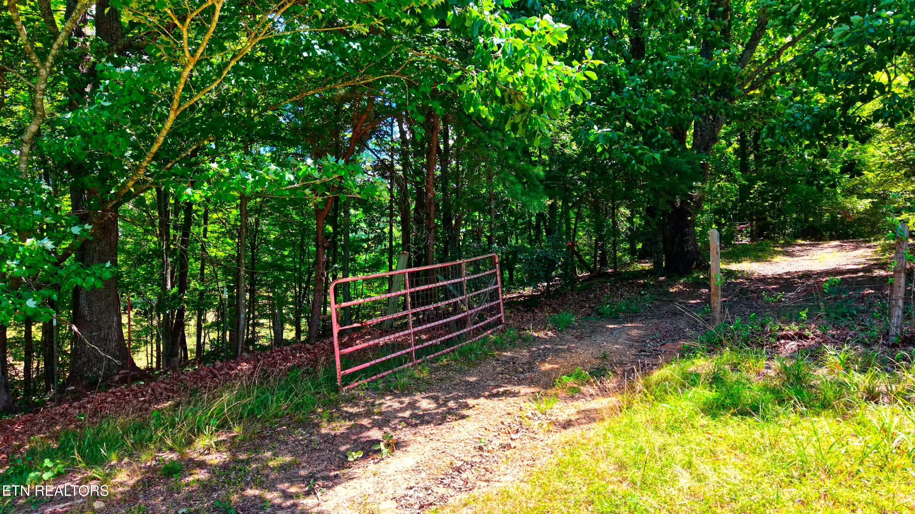 1319 Ideal Valley Road Spring City TN 37381