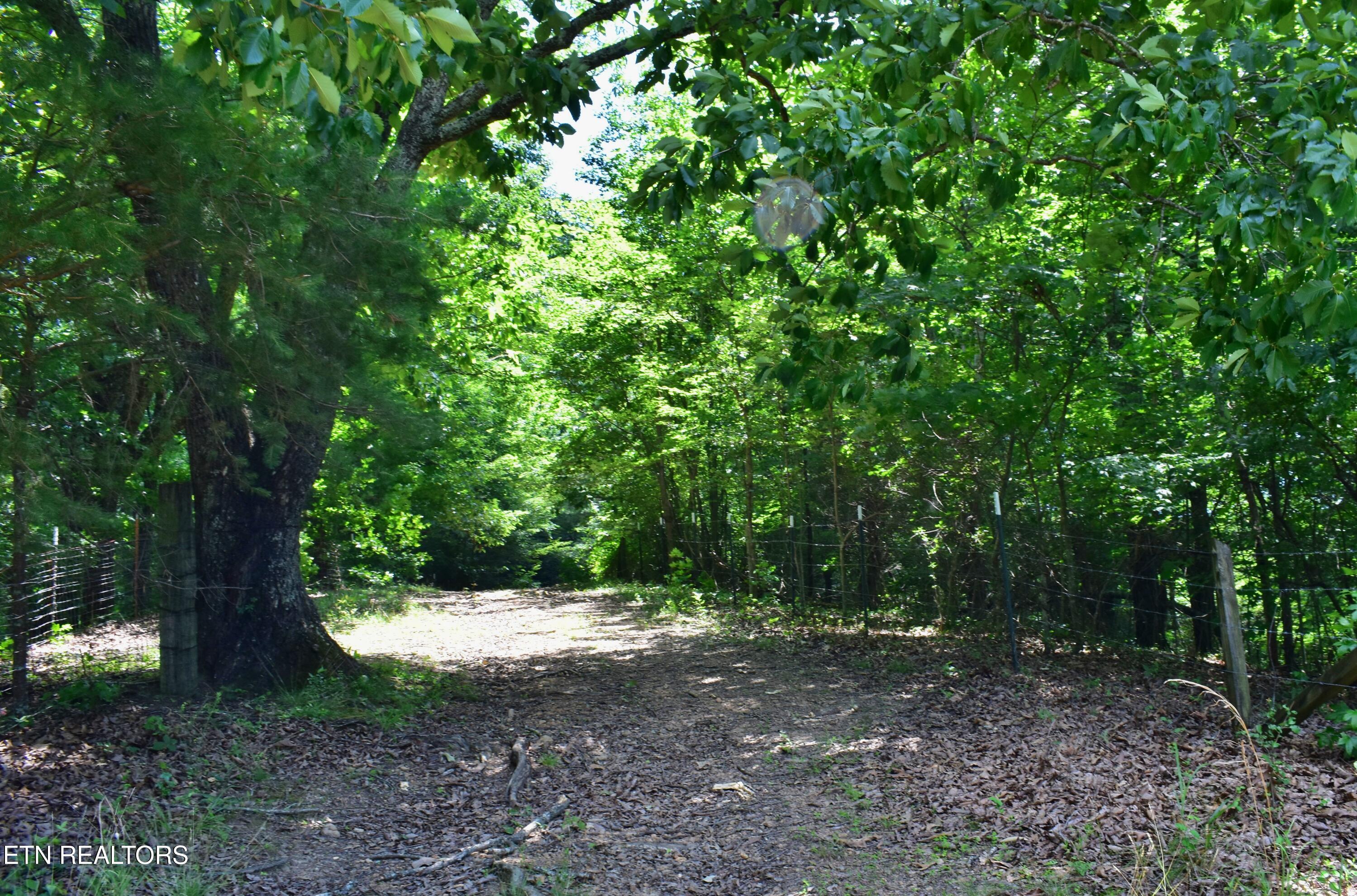 1319 Ideal Valley Road Spring City TN 37381