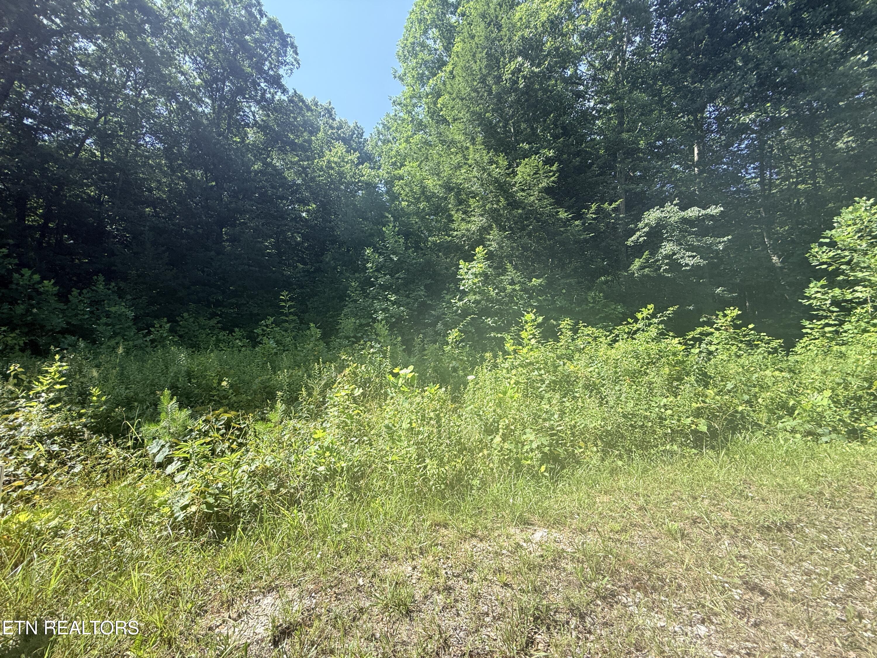 760 Dubose Drive Jamestown TN 38556