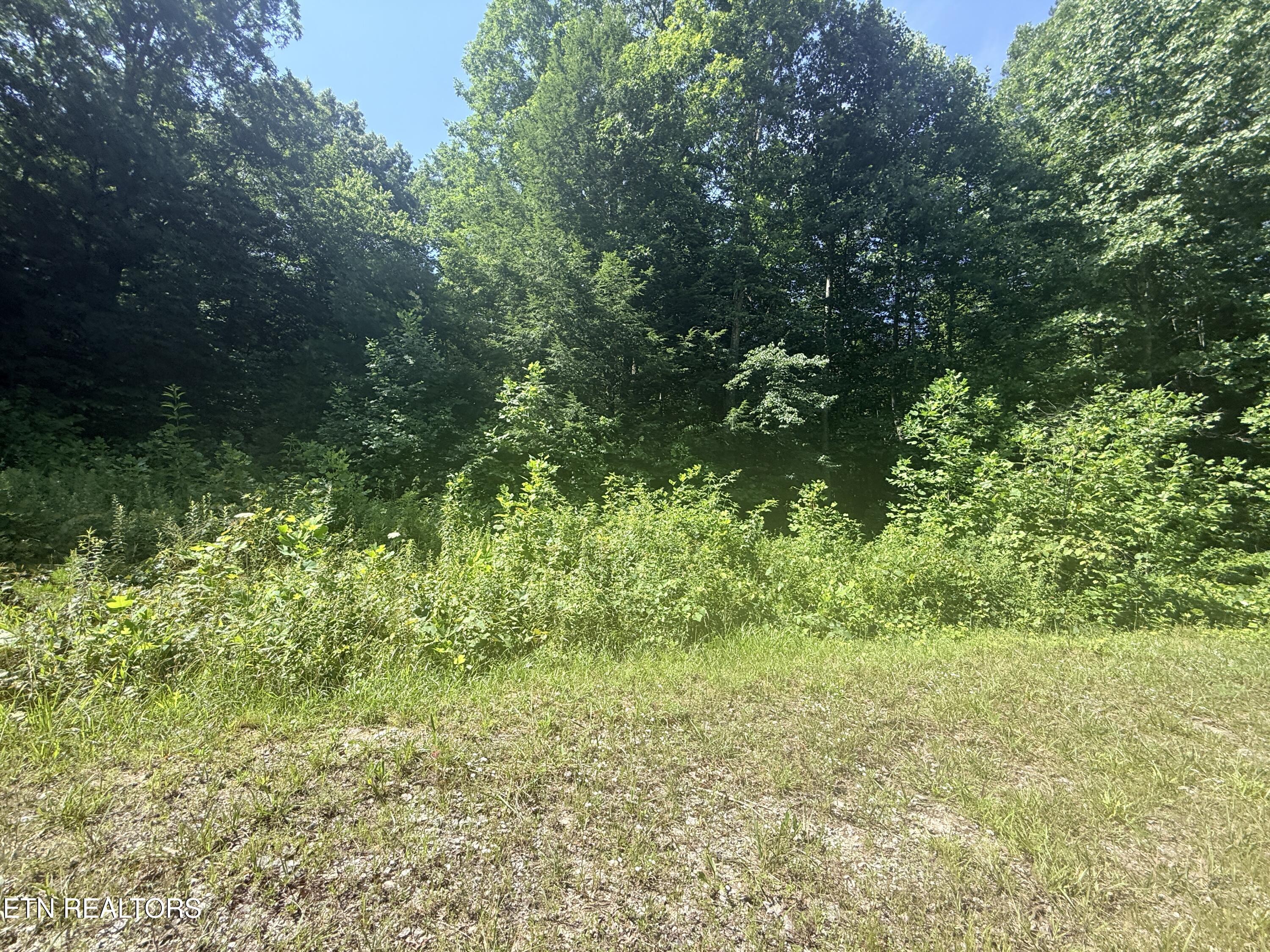 760 Dubose Drive Jamestown TN 38556