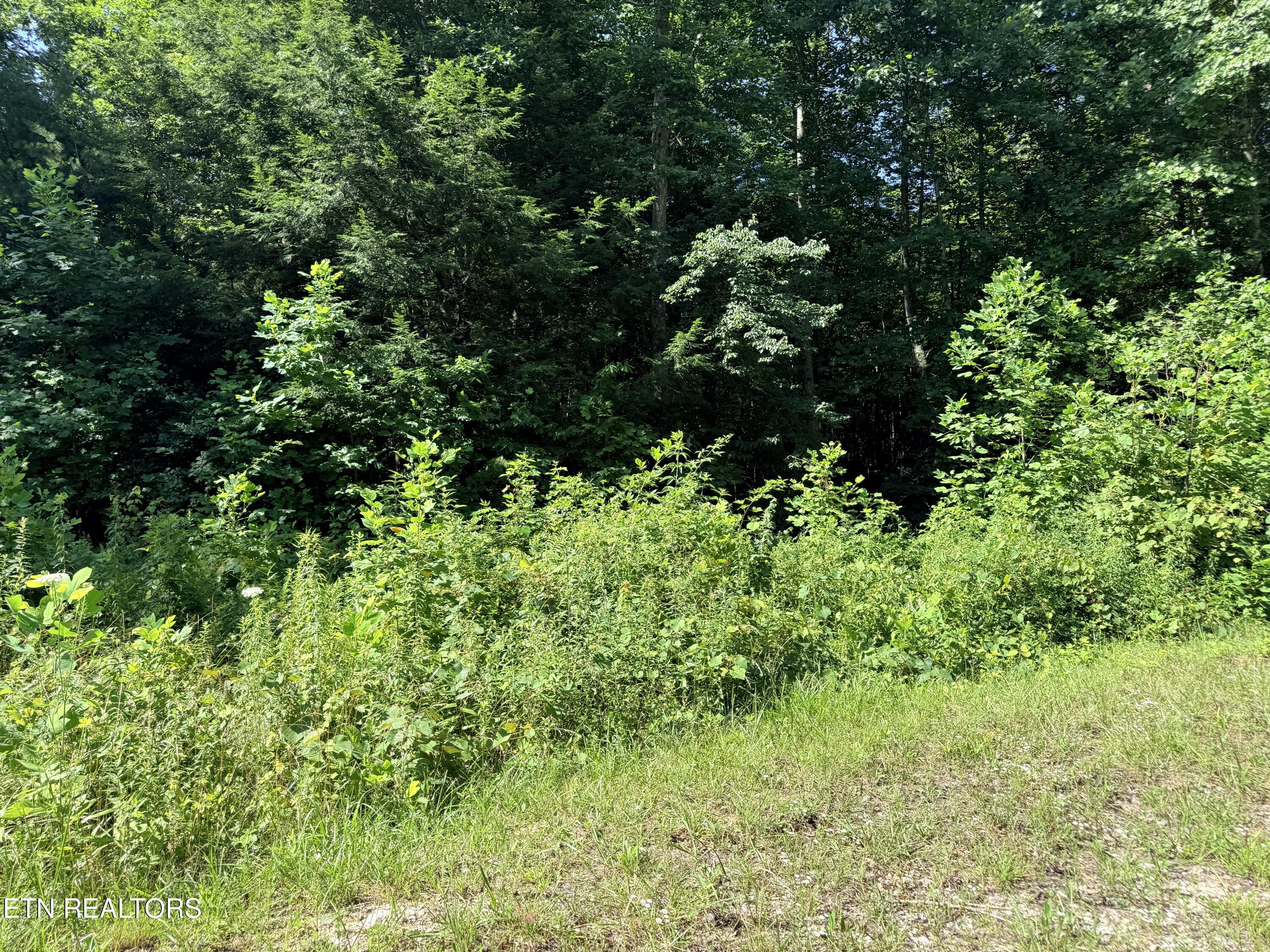 760 Dubose Drive Jamestown TN 38556