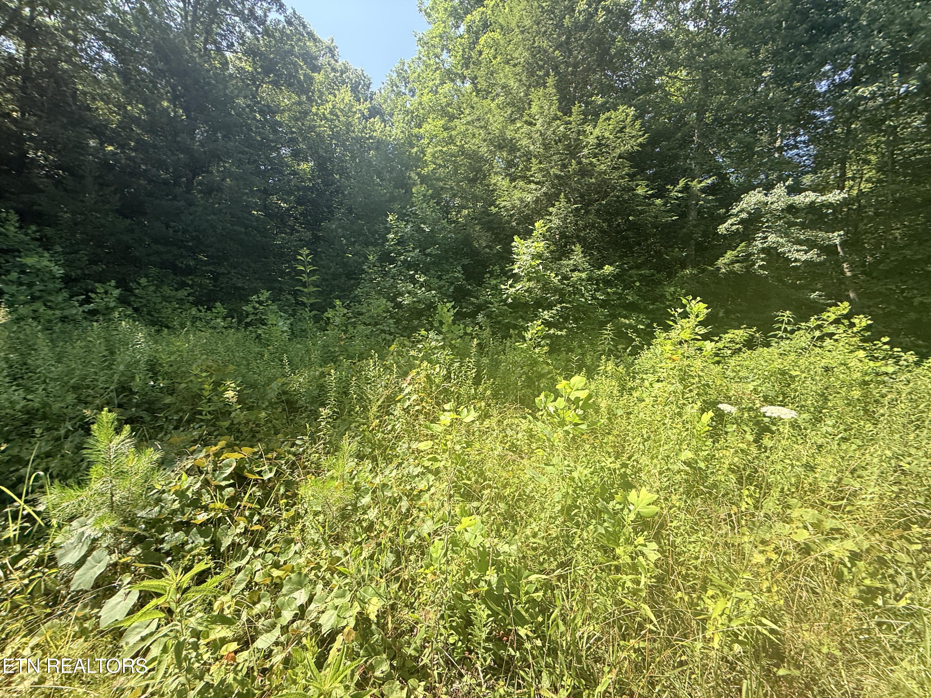 760 Dubose Drive Jamestown TN 38556