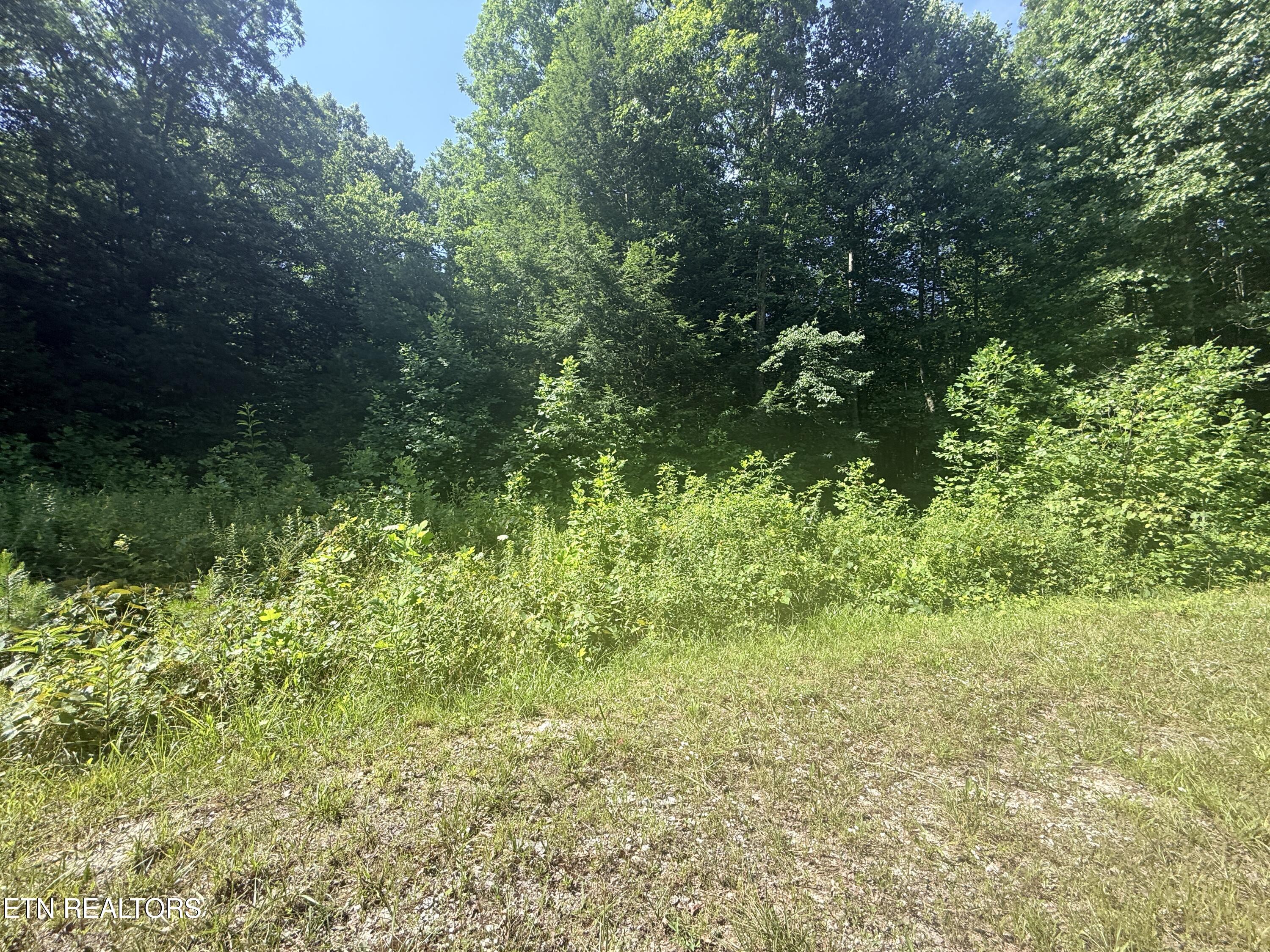 760 Dubose Drive Jamestown TN 38556