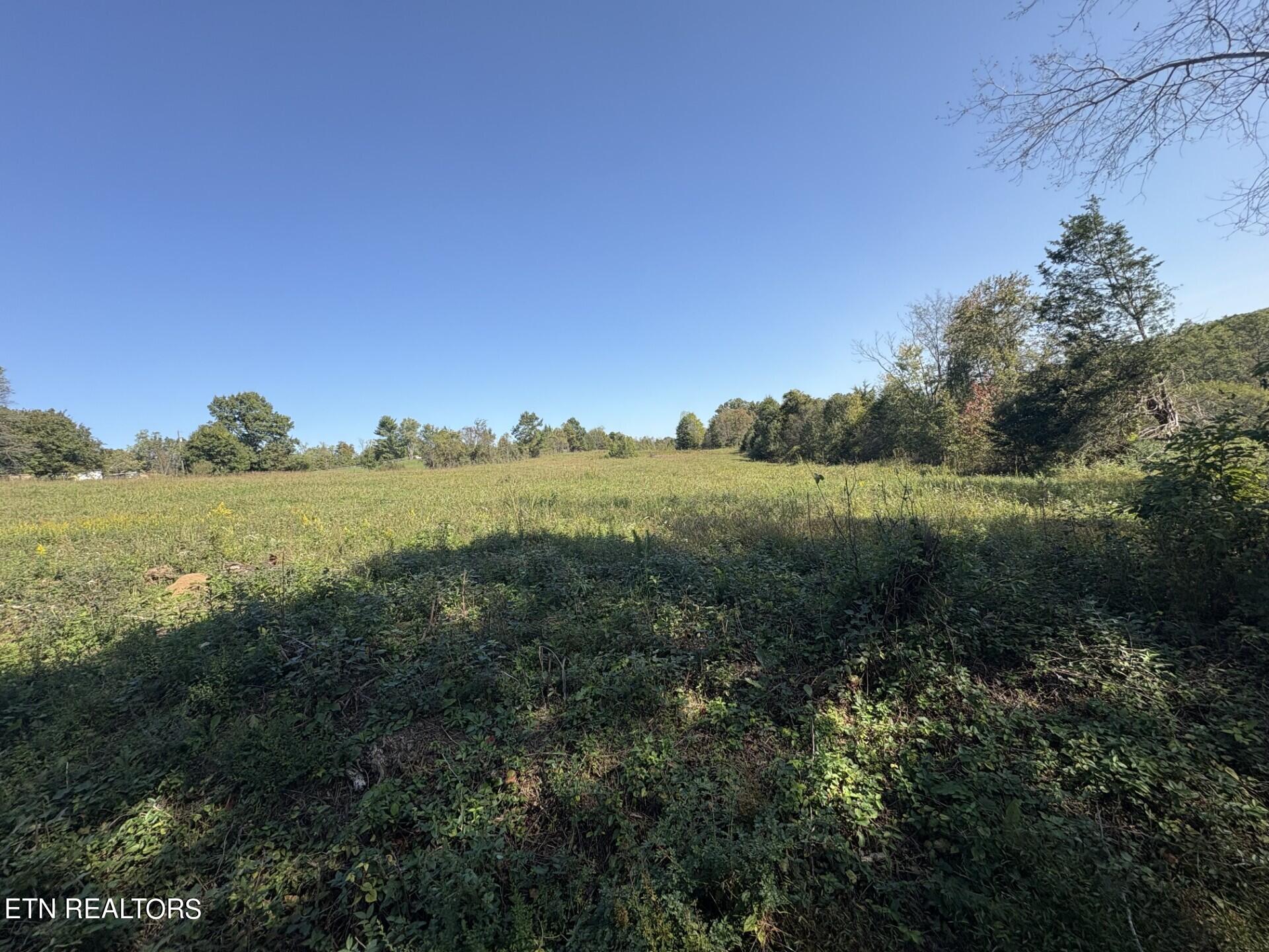 172 Copenhaver Road Lenoir City TN 37771