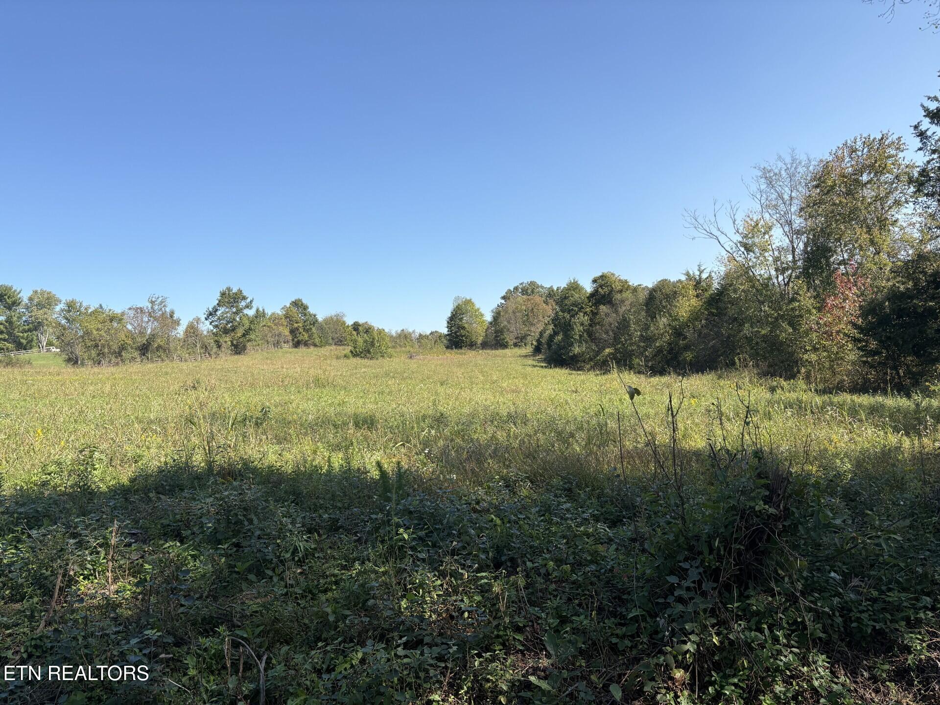 172 Copenhaver Road Lenoir City TN 37771