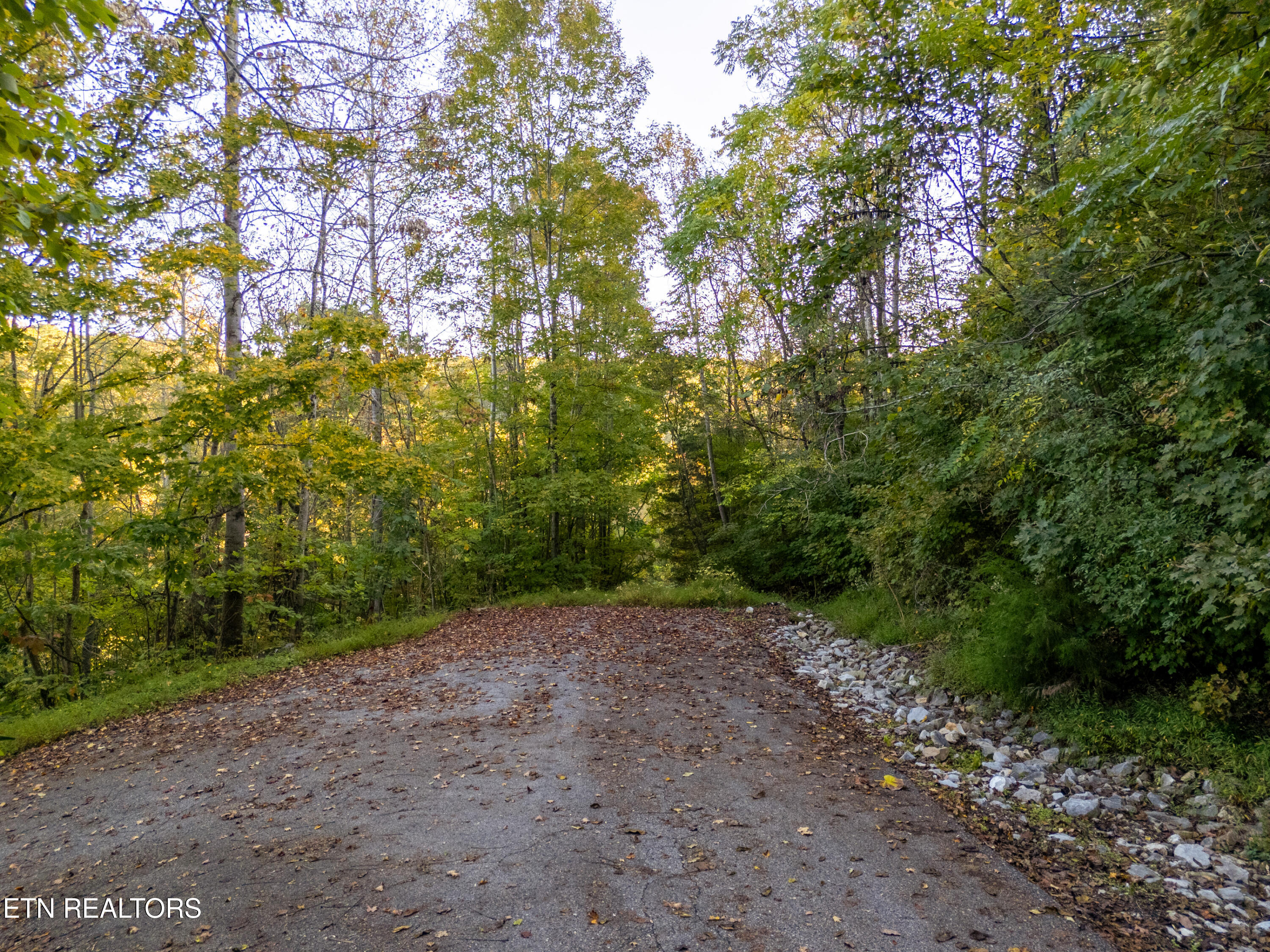 Shanghai Way Lane Lafollette TN 37766