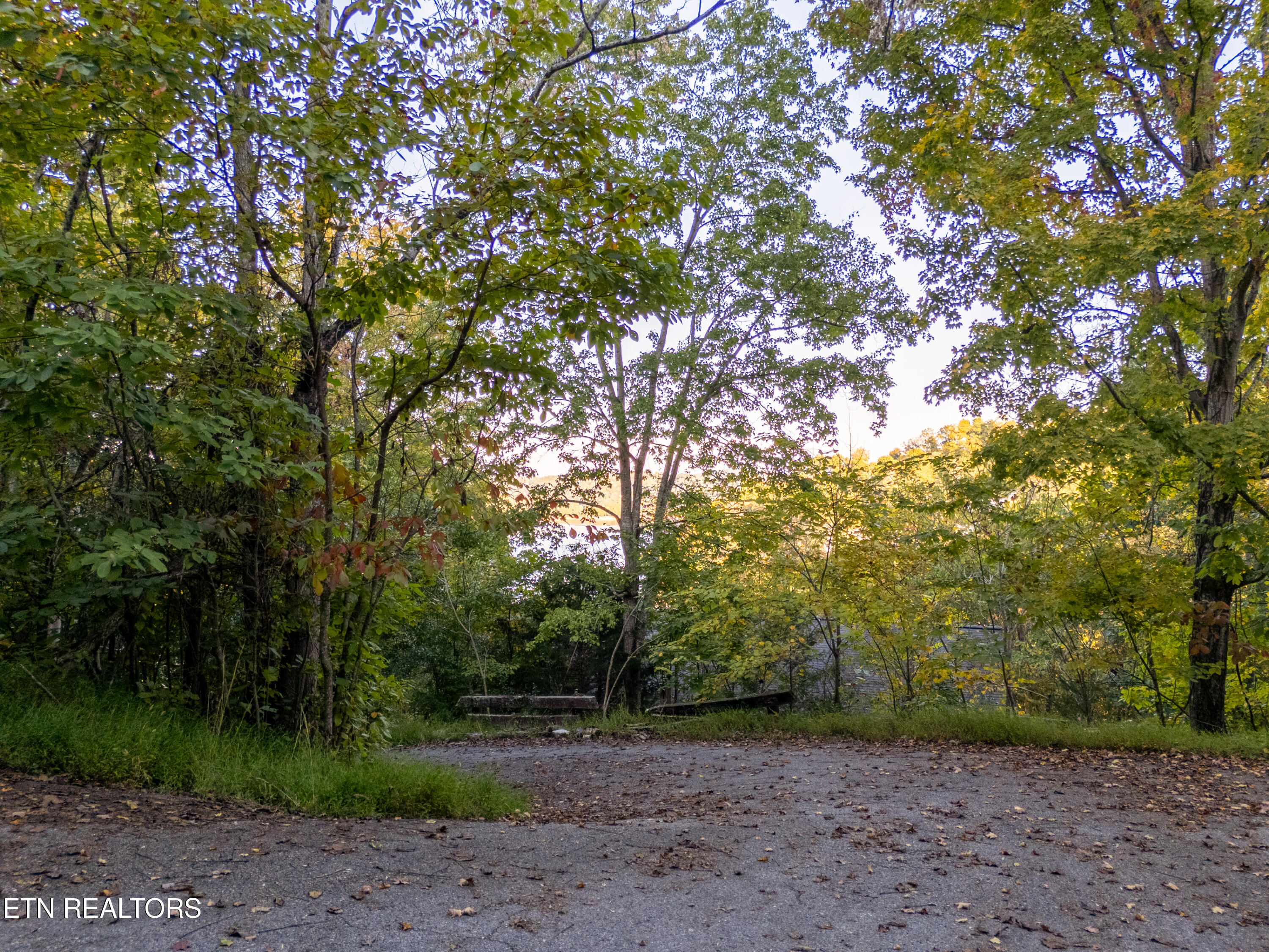 Shanghai Way Lane Lafollette TN 37766