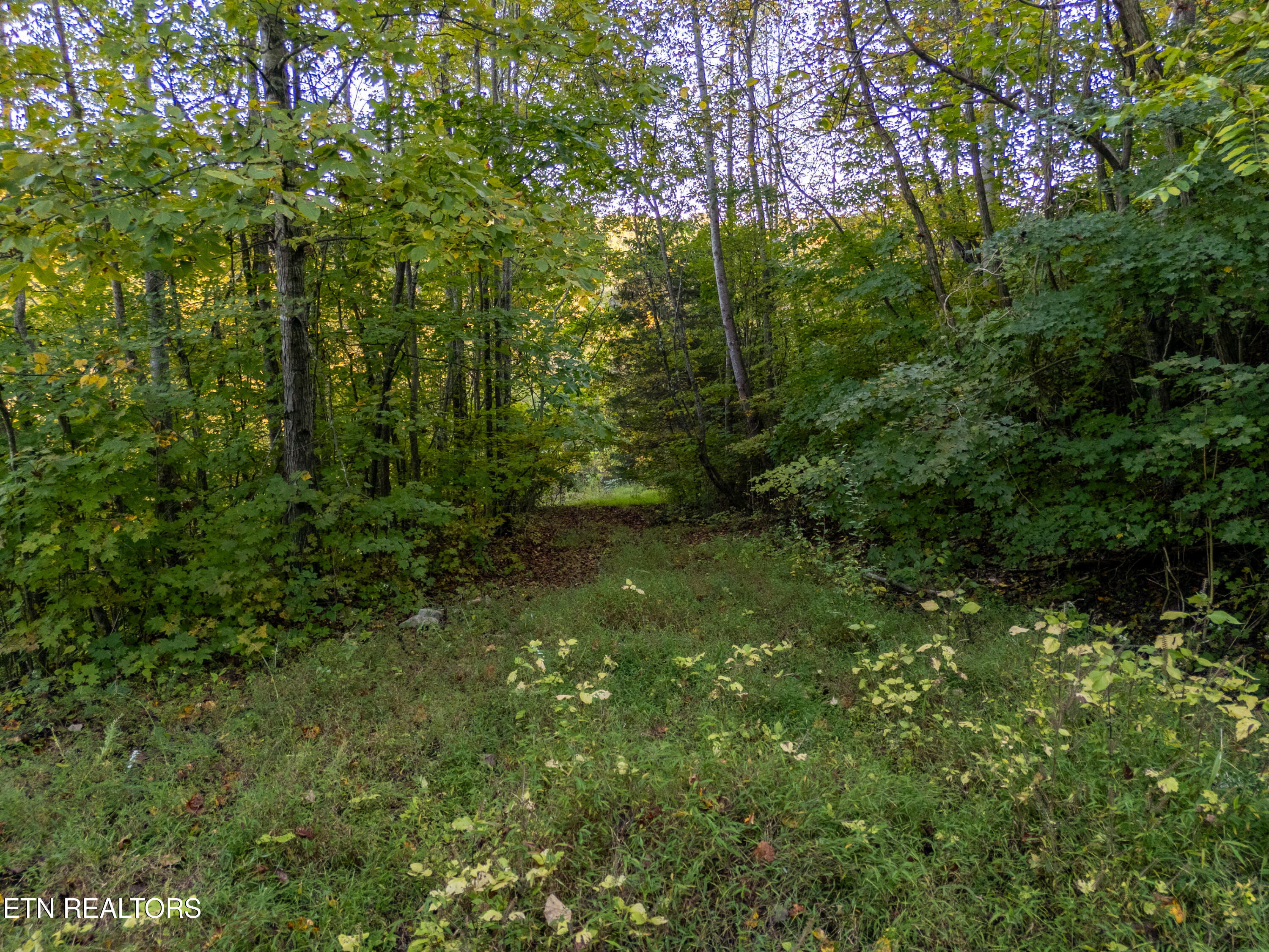 Shanghai Way Lane Lafollette TN 37766