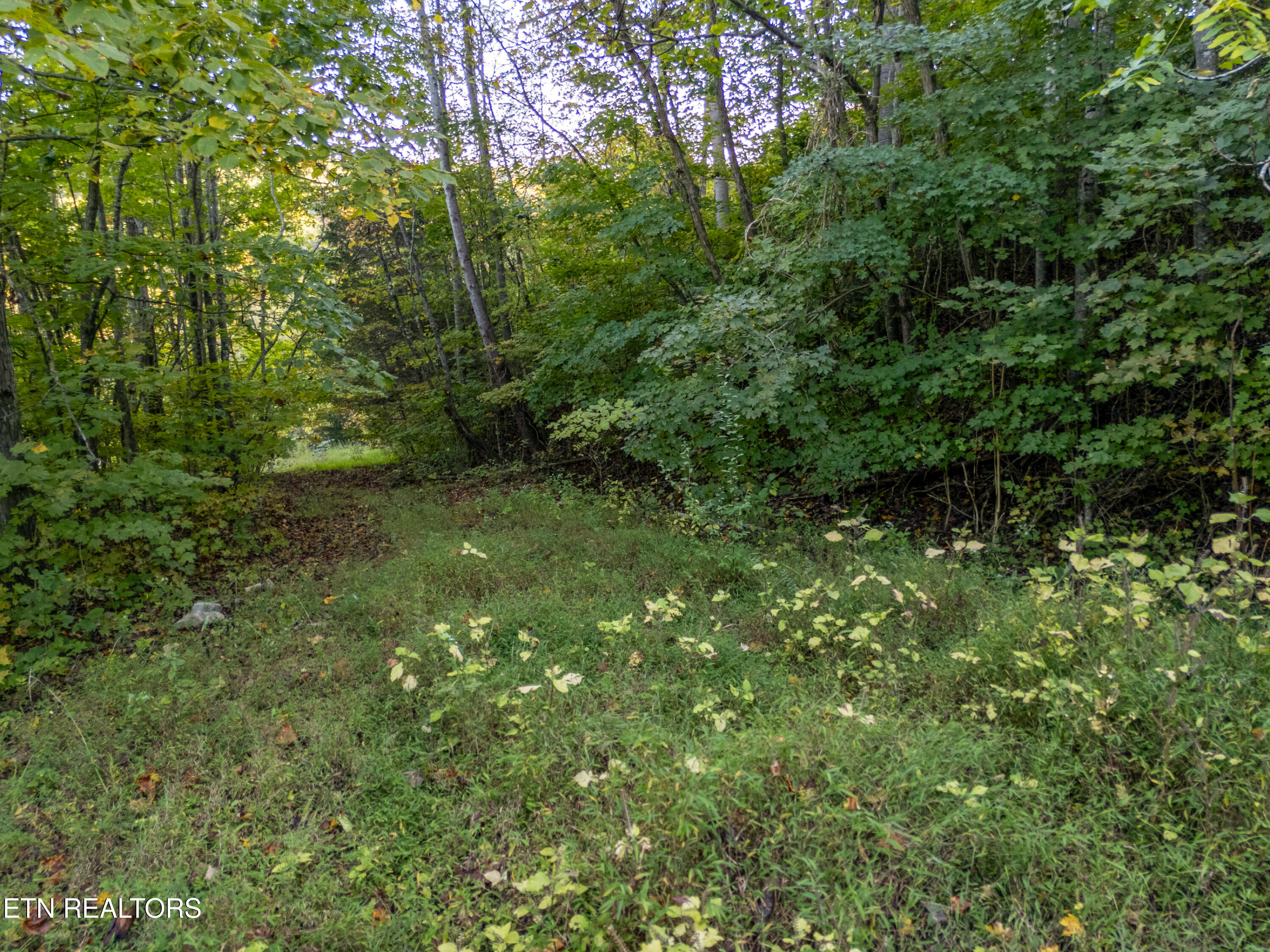 Shanghai Way Lane Lafollette TN 37766