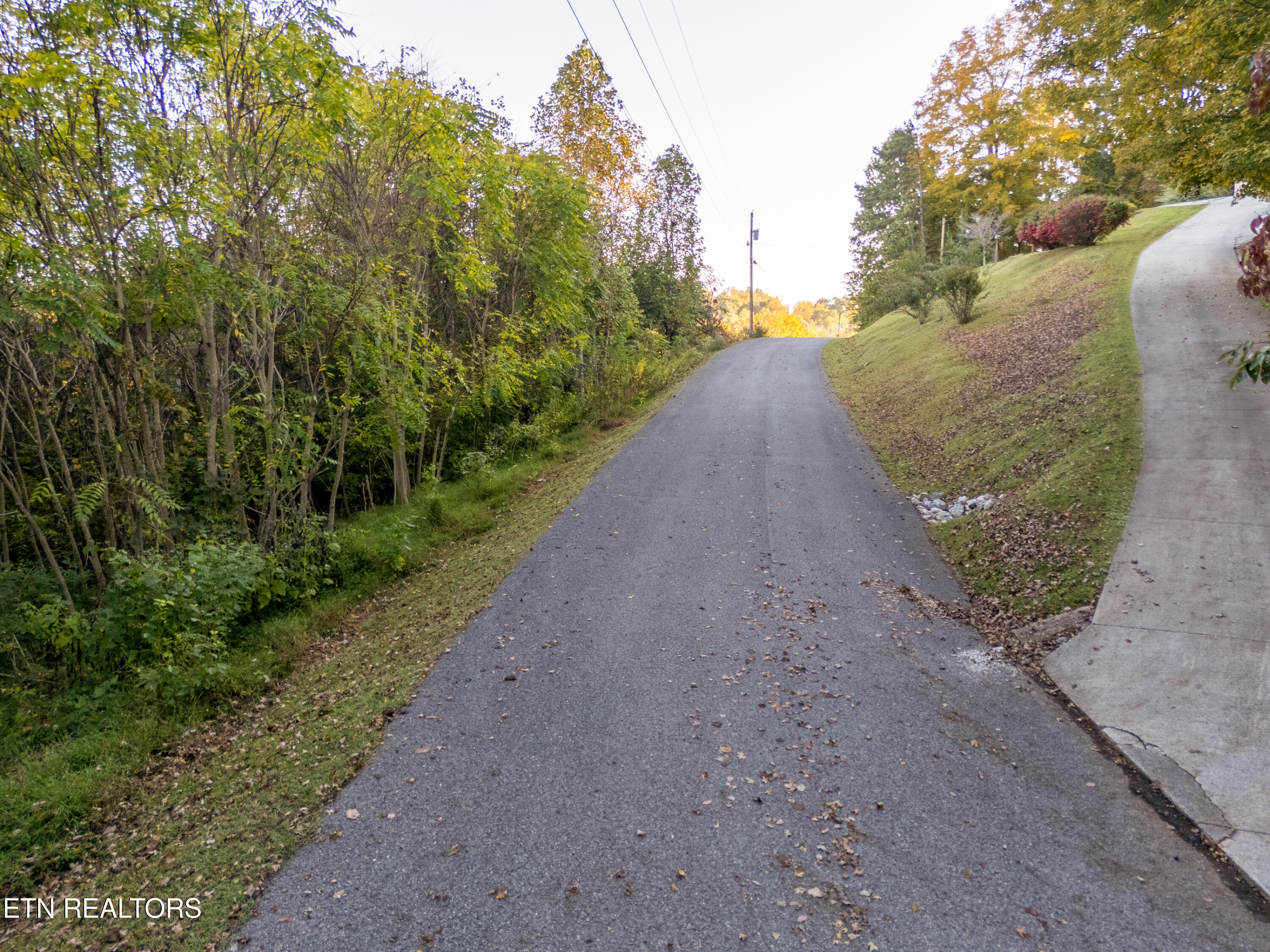 Shanghai Way Lane Lafollette TN 37766