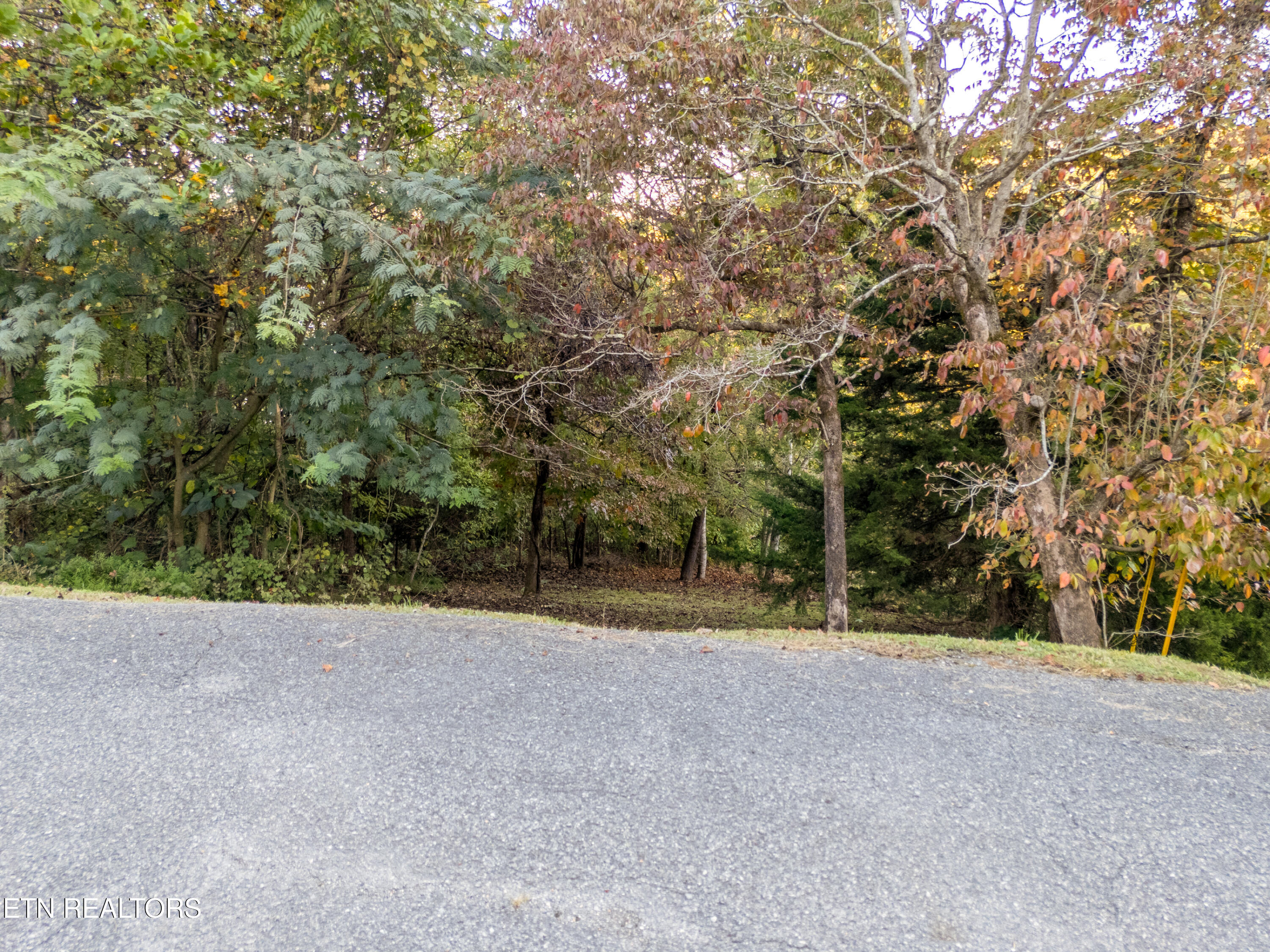 Shanghai Way Lane Lafollette TN 37766