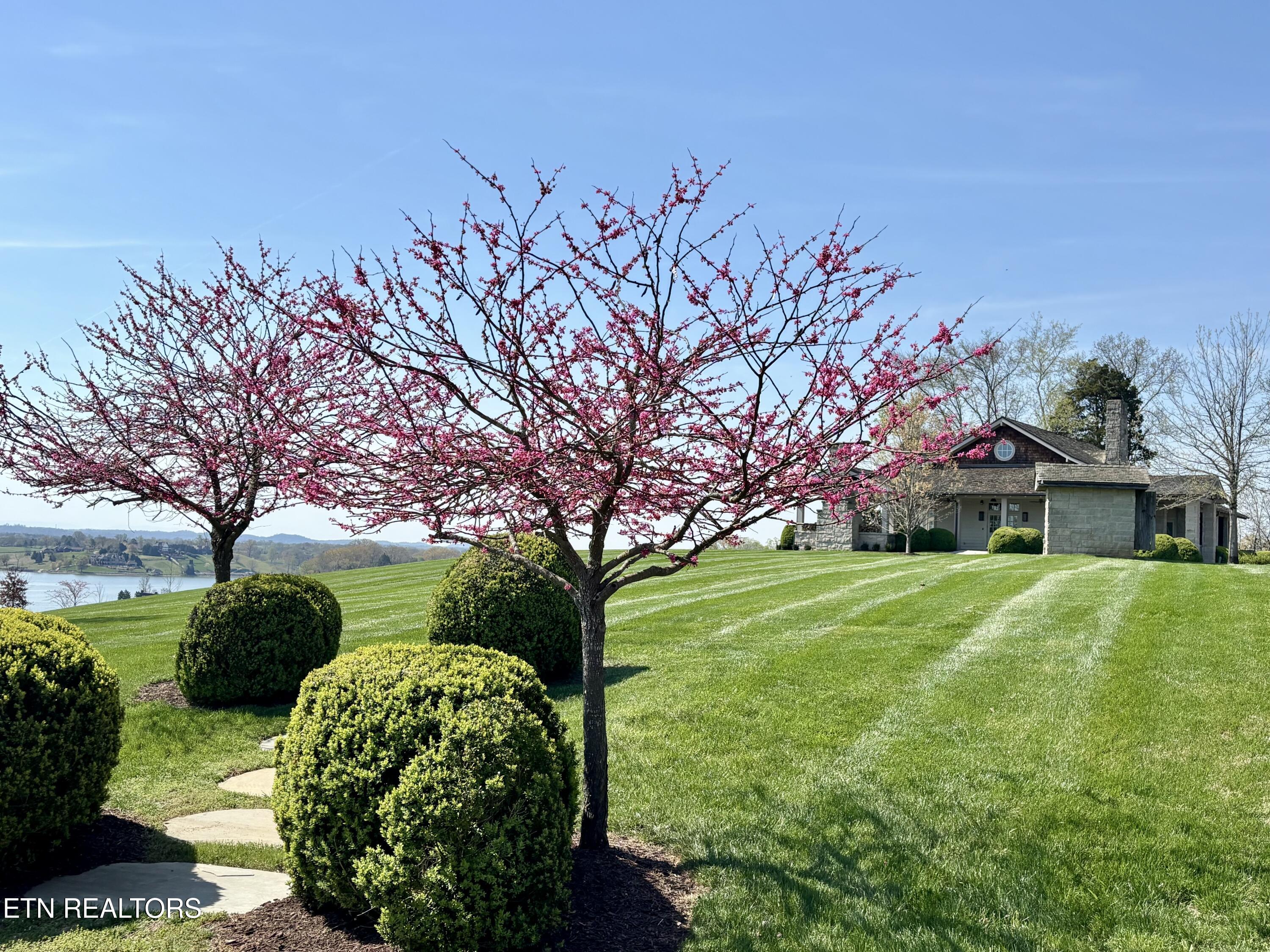 2027 Arcadia Peninsula Way Knoxville TN 37922
