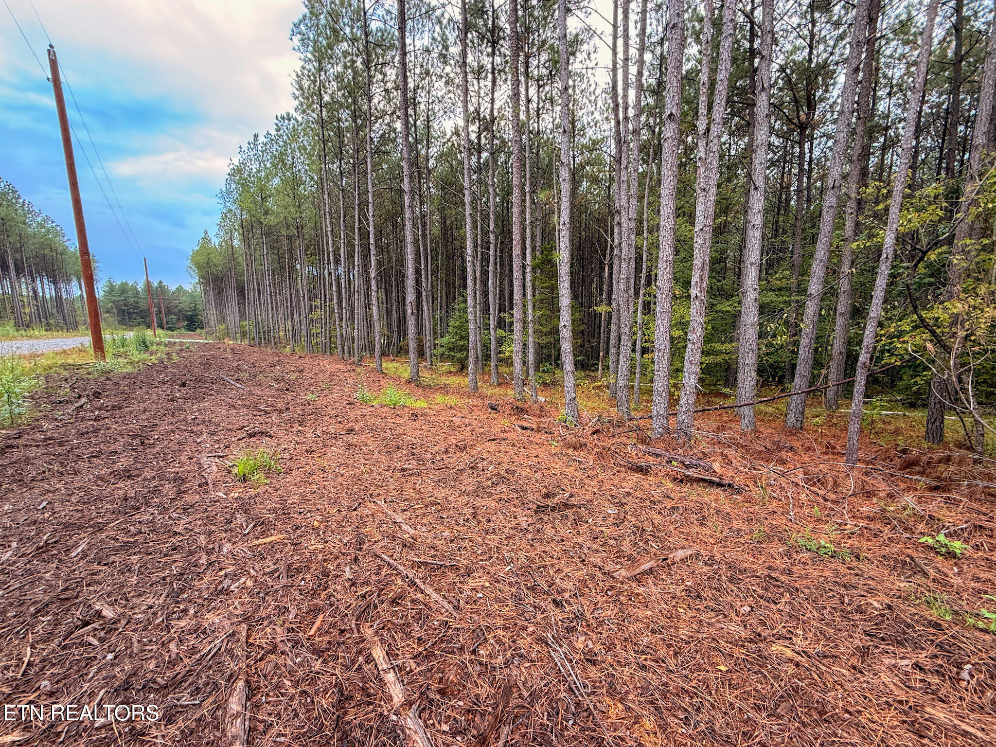 Lot 11 Airport Road Rockwood TN 37854