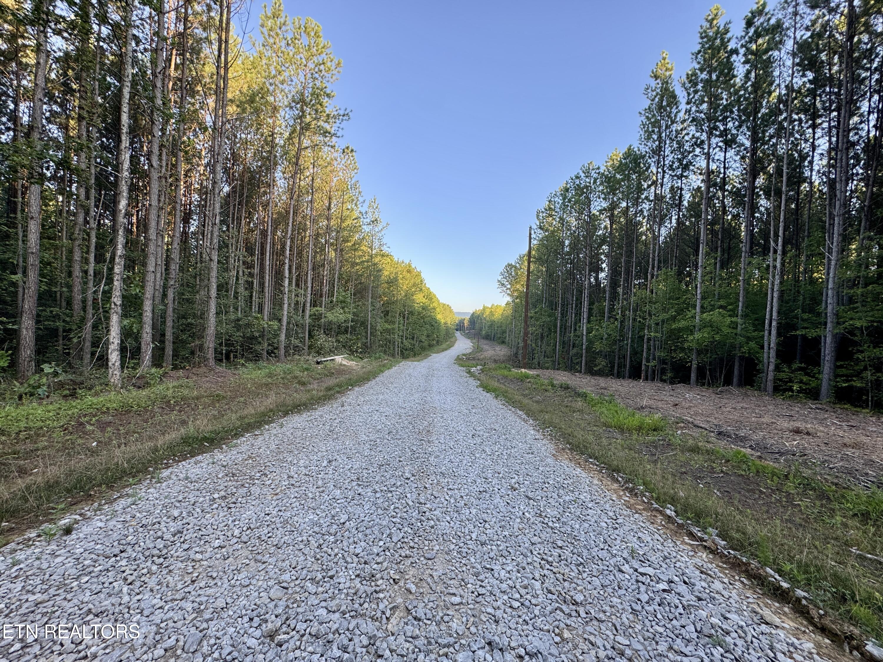 Lot 11 Airport Road Rockwood TN 37854