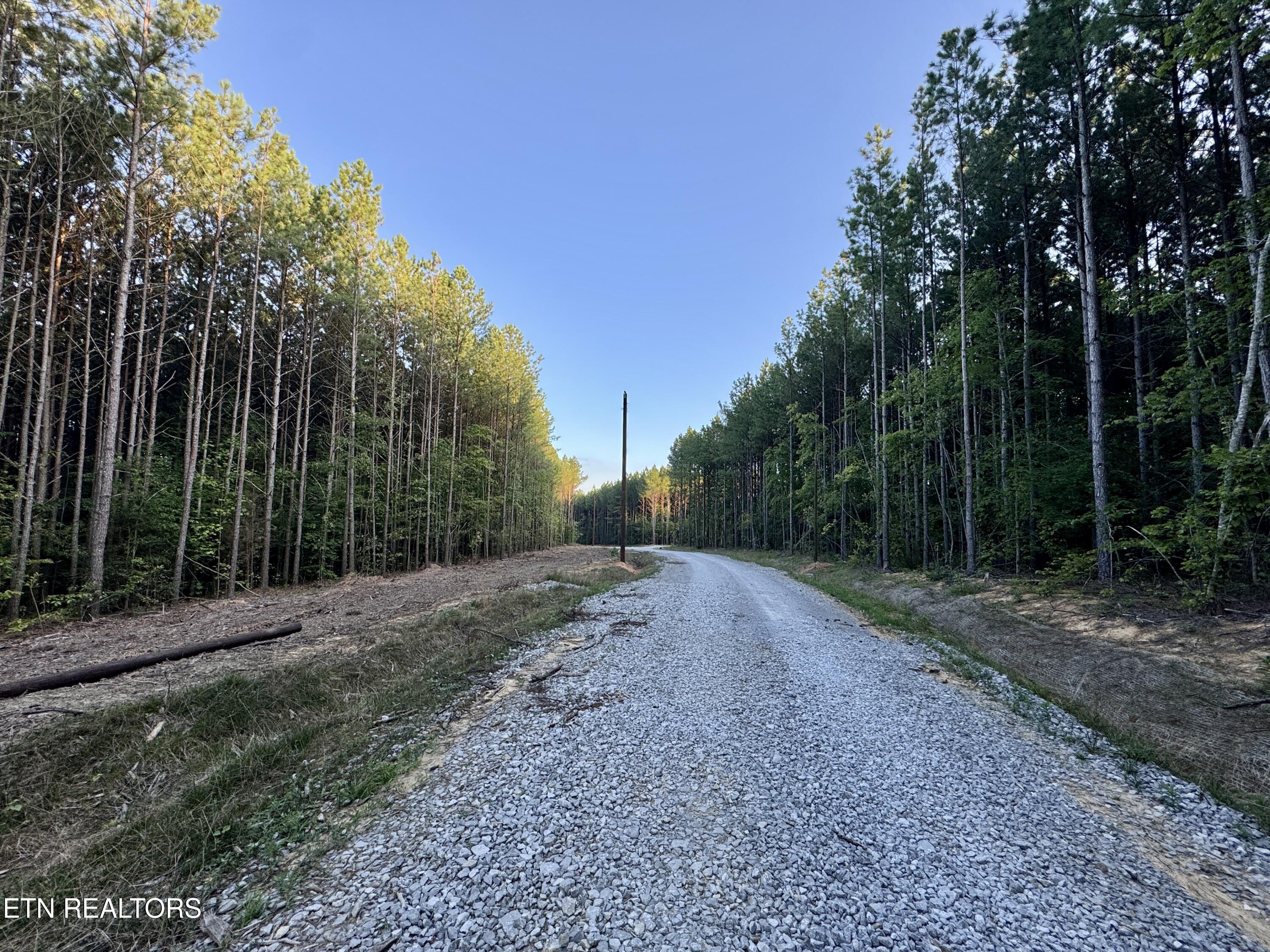 Lot 11 Airport Road Rockwood TN 37854