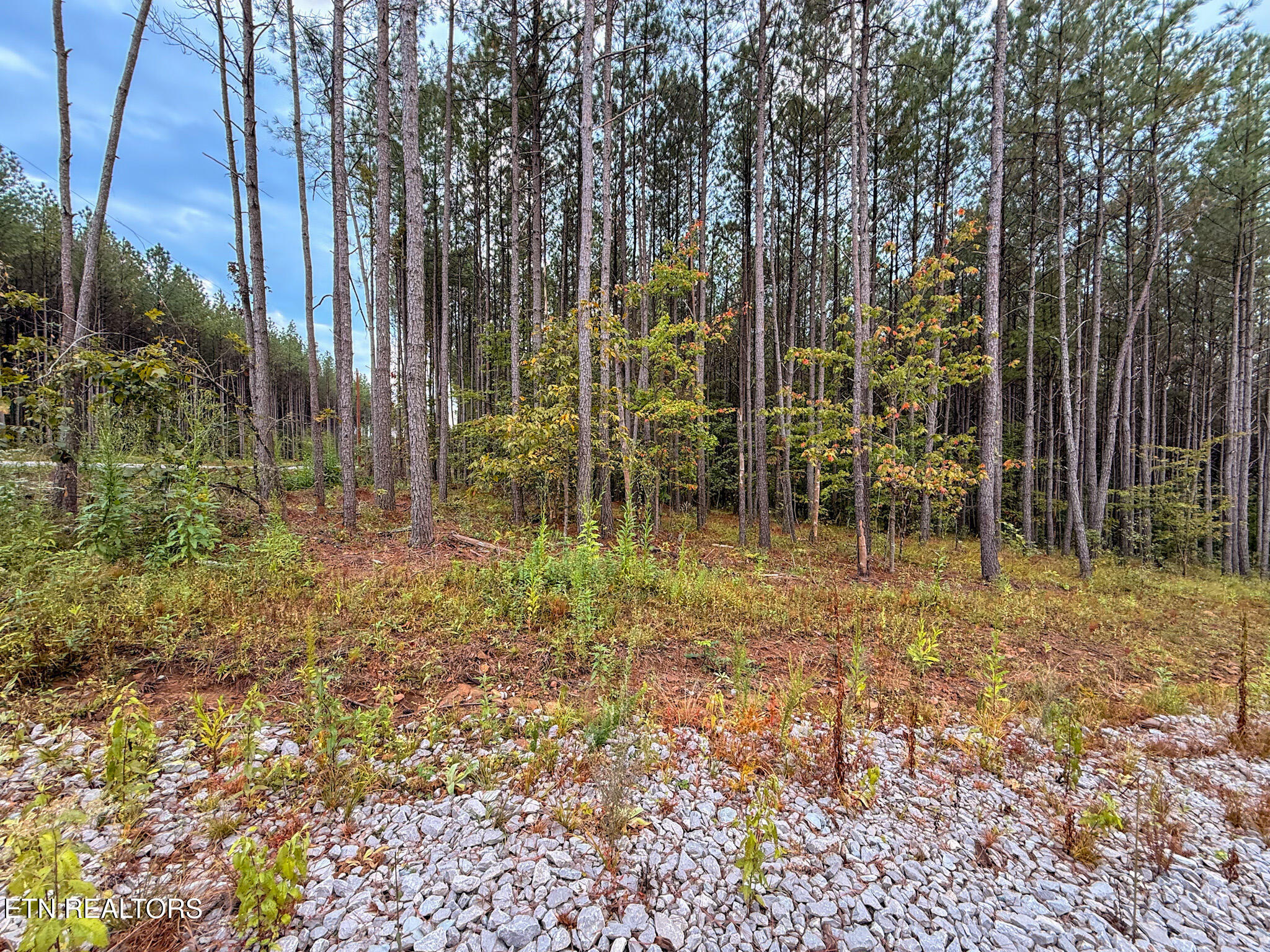 Lot 11 Airport Road Rockwood TN 37854