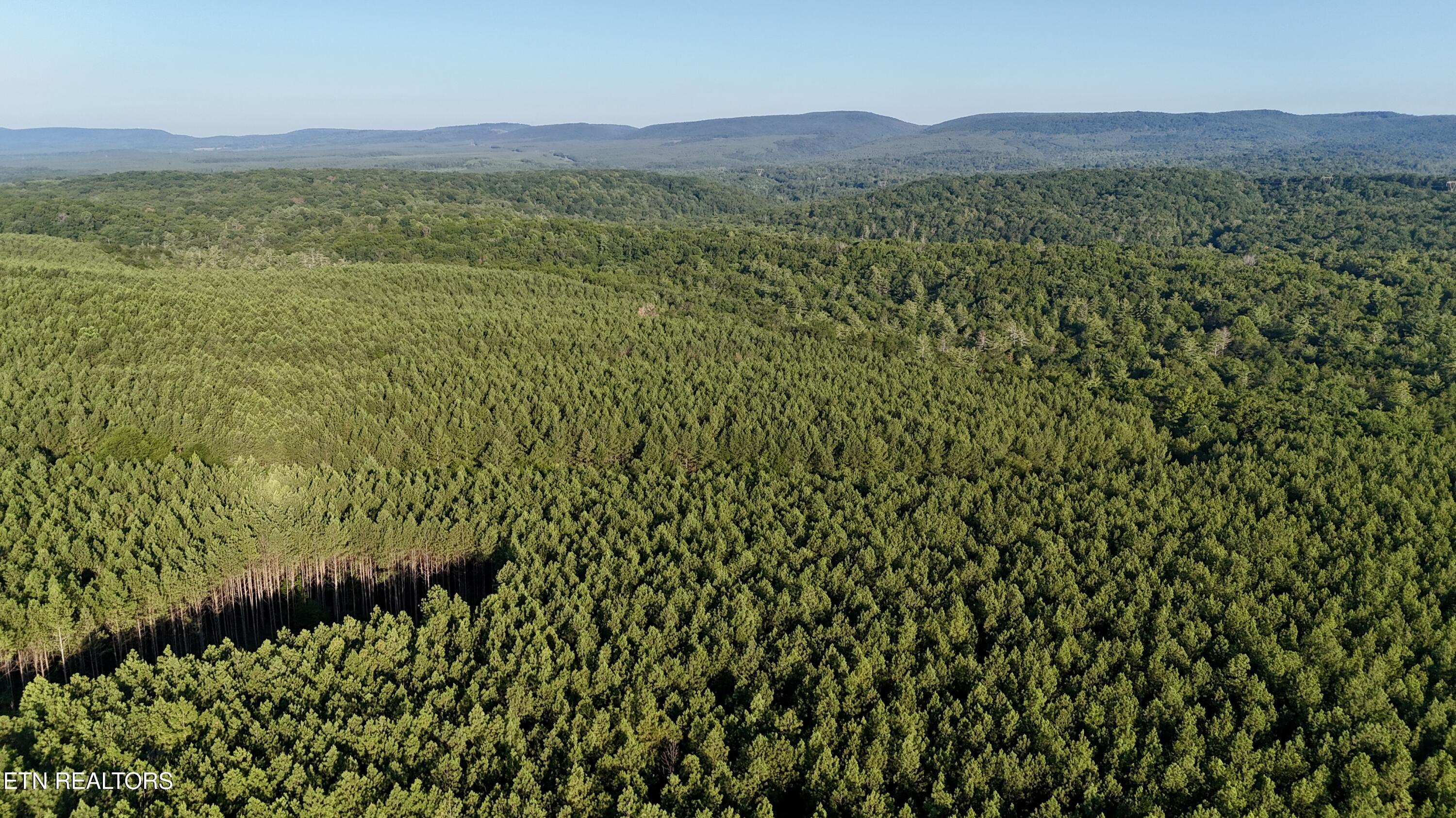 Lot 11 Airport Road Rockwood TN 37854