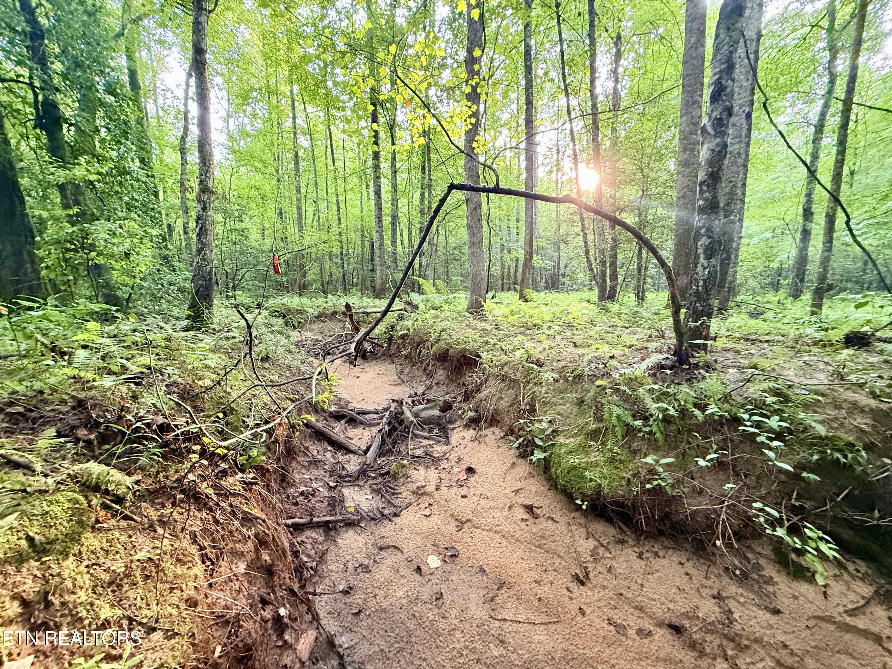 Lot 11 Airport Road Rockwood TN 37854