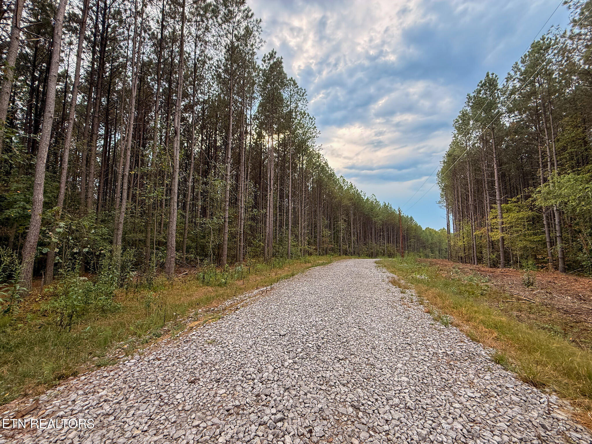 Lot 11 Airport Road Rockwood TN 37854