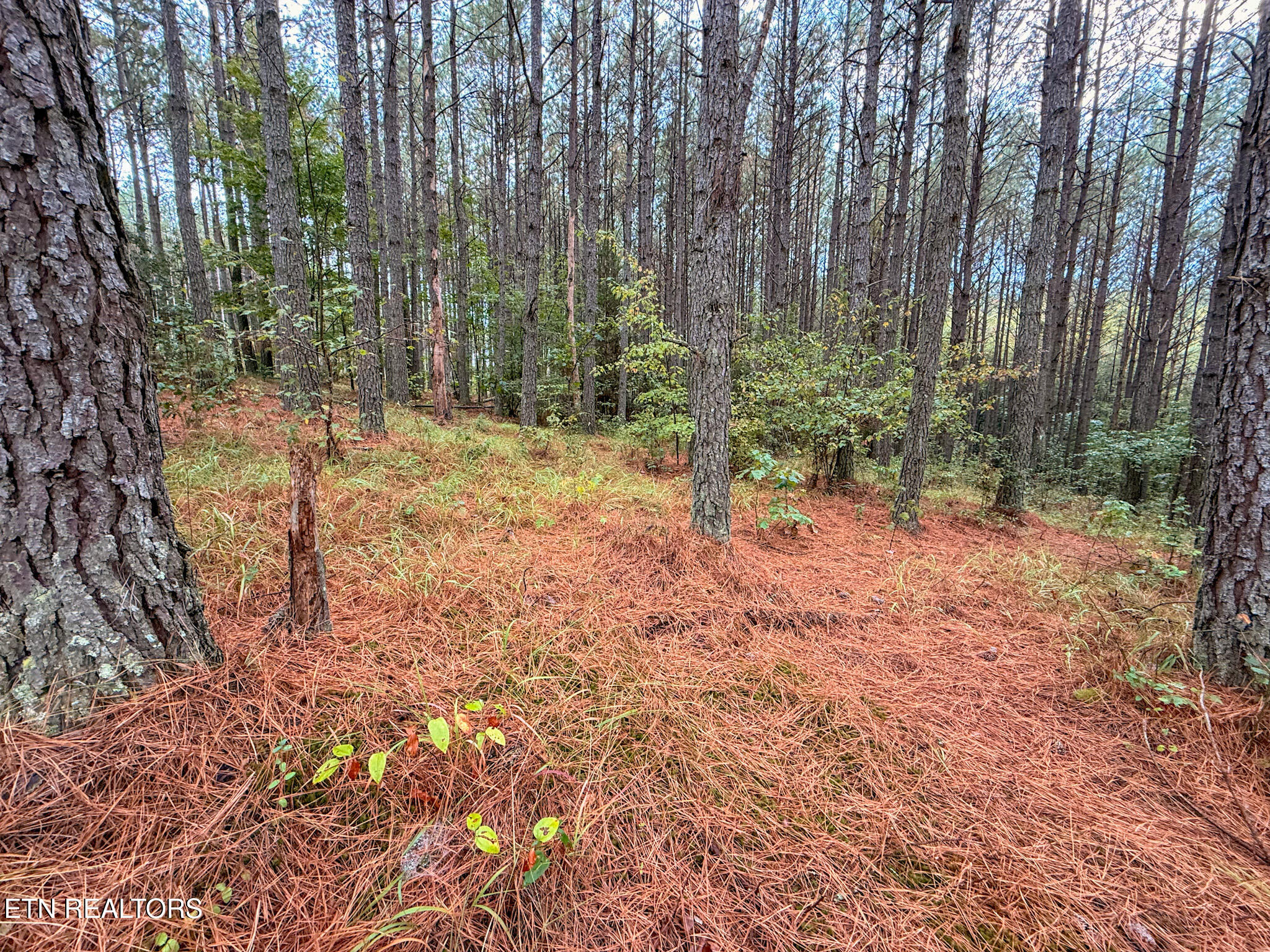 Lot 11 Airport Road Rockwood TN 37854