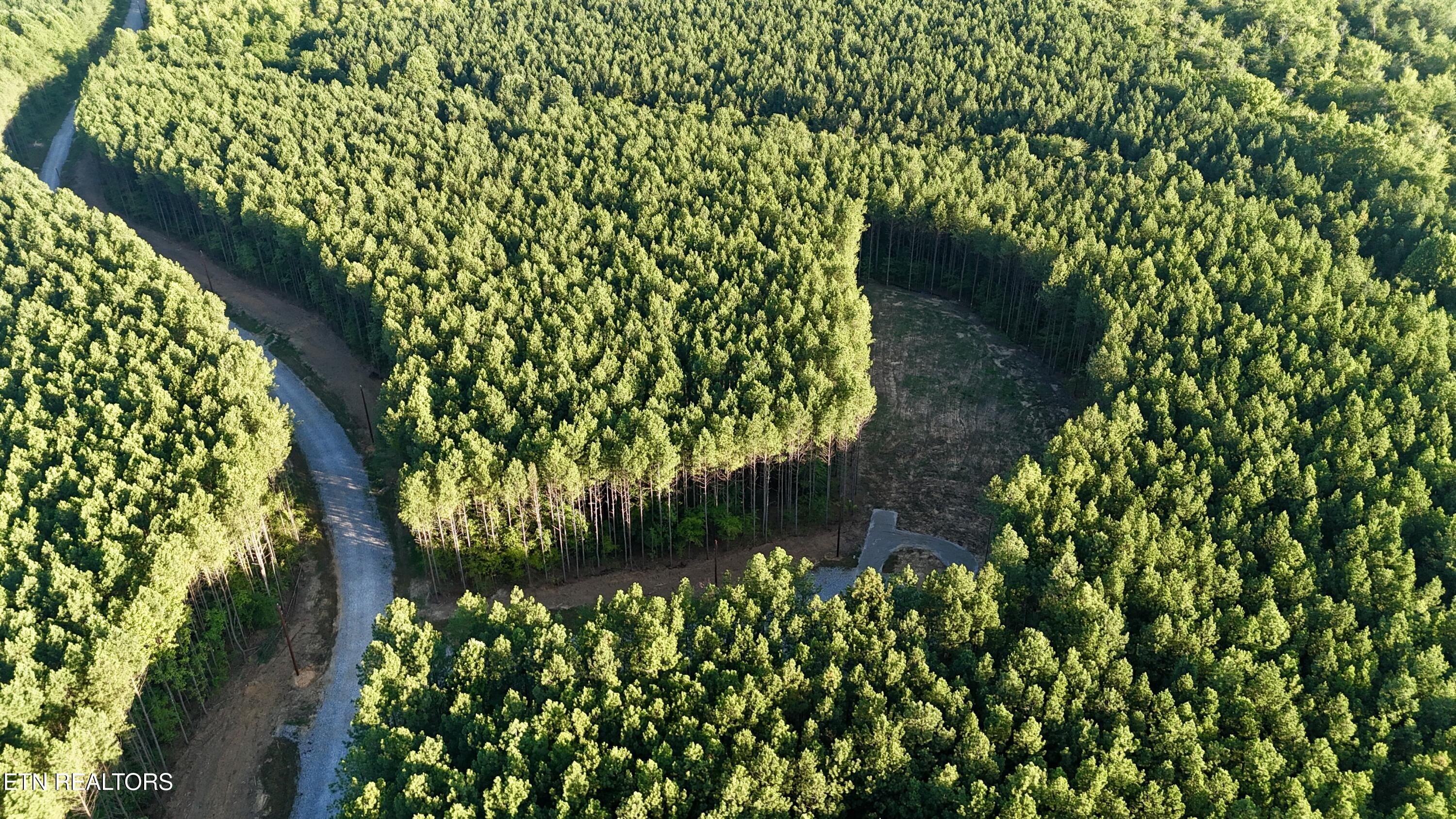 Lot 11 Airport Road Rockwood TN 37854