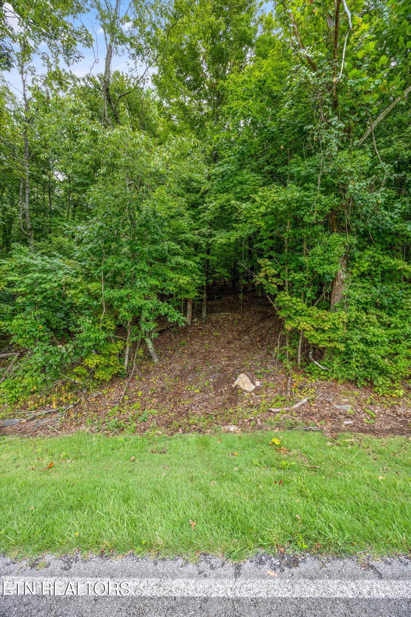 00 Sugarlimb Road Loudon TN 37774