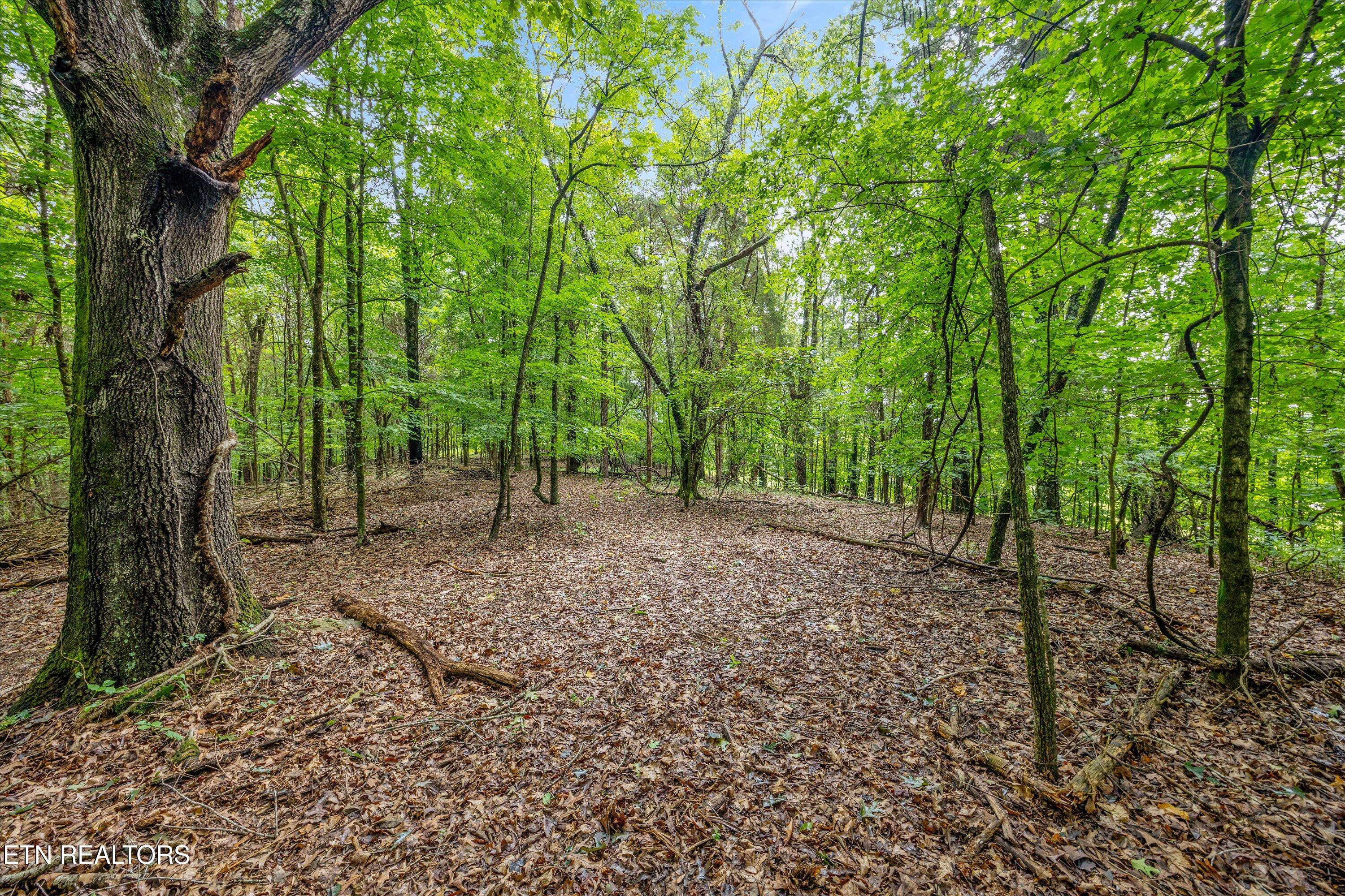 00 Sugarlimb Road Loudon TN 37774