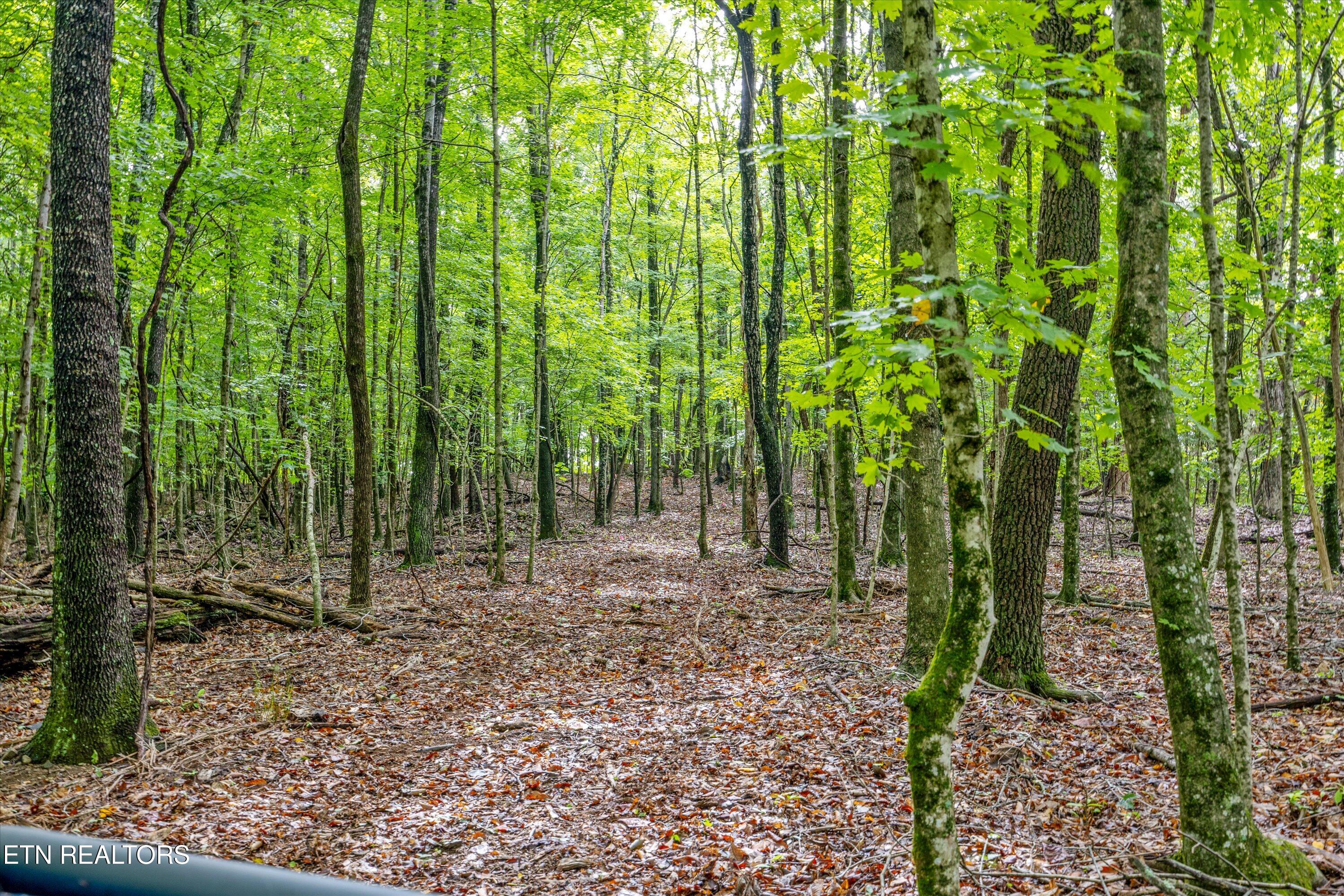 00 Sugarlimb Road Loudon TN 37774
