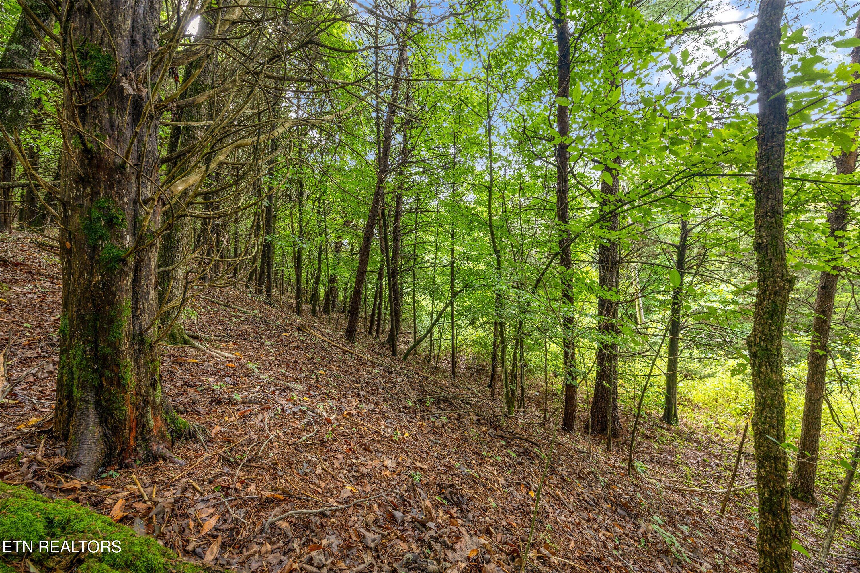 00 Sugarlimb Road Loudon TN 37774