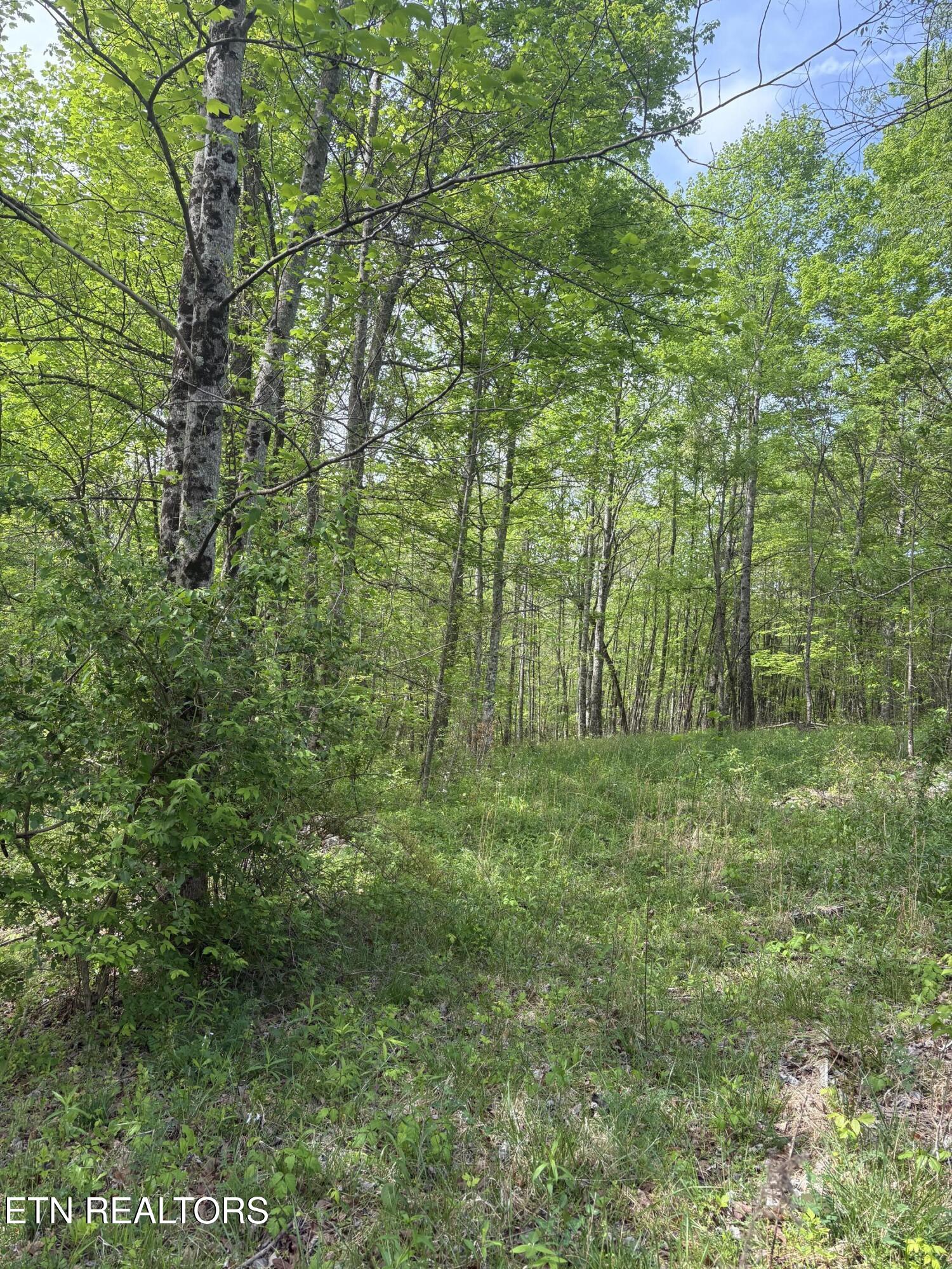 157 Casteel Road Sparta TN 38583