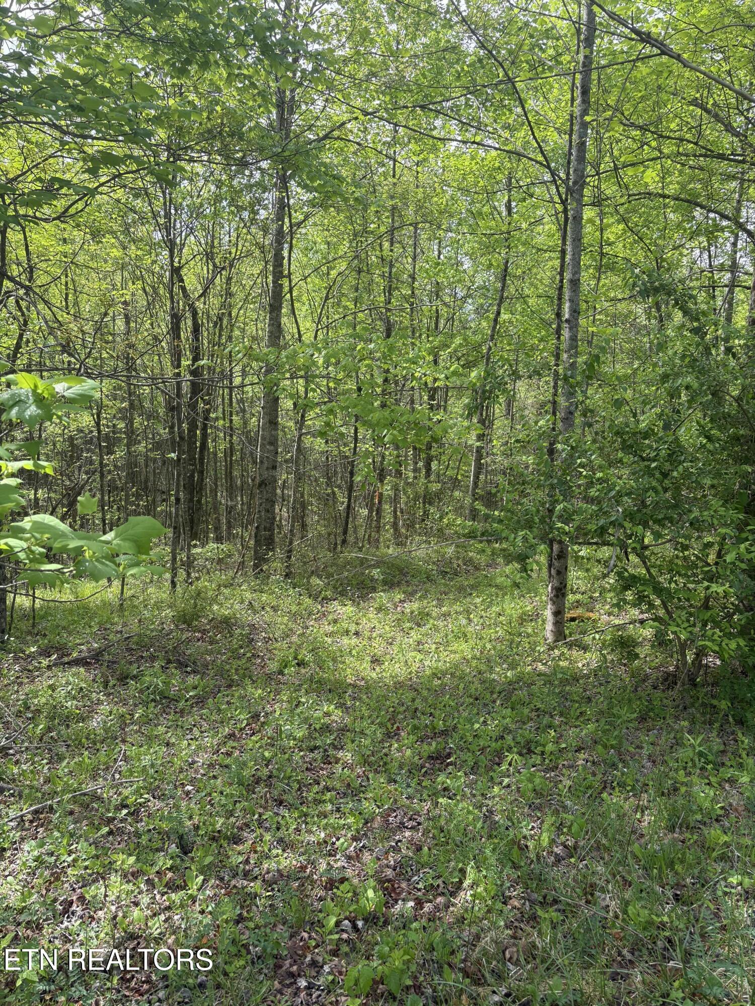 157 Casteel Road Sparta TN 38583