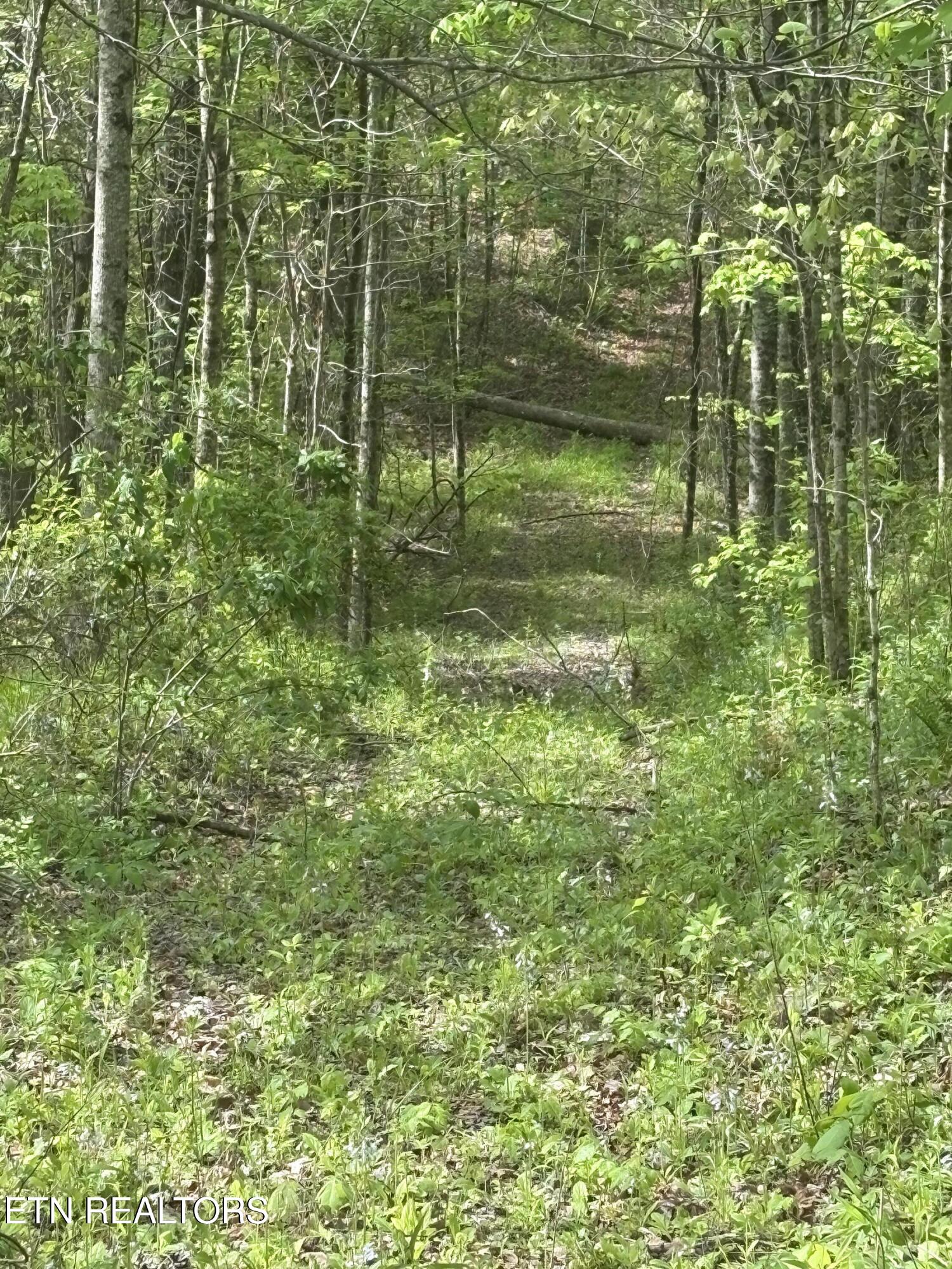 157 Casteel Road Sparta TN 38583
