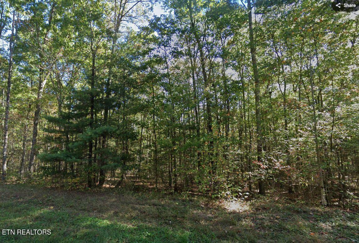 0 Jay Loop Road Jamestown TN 38556