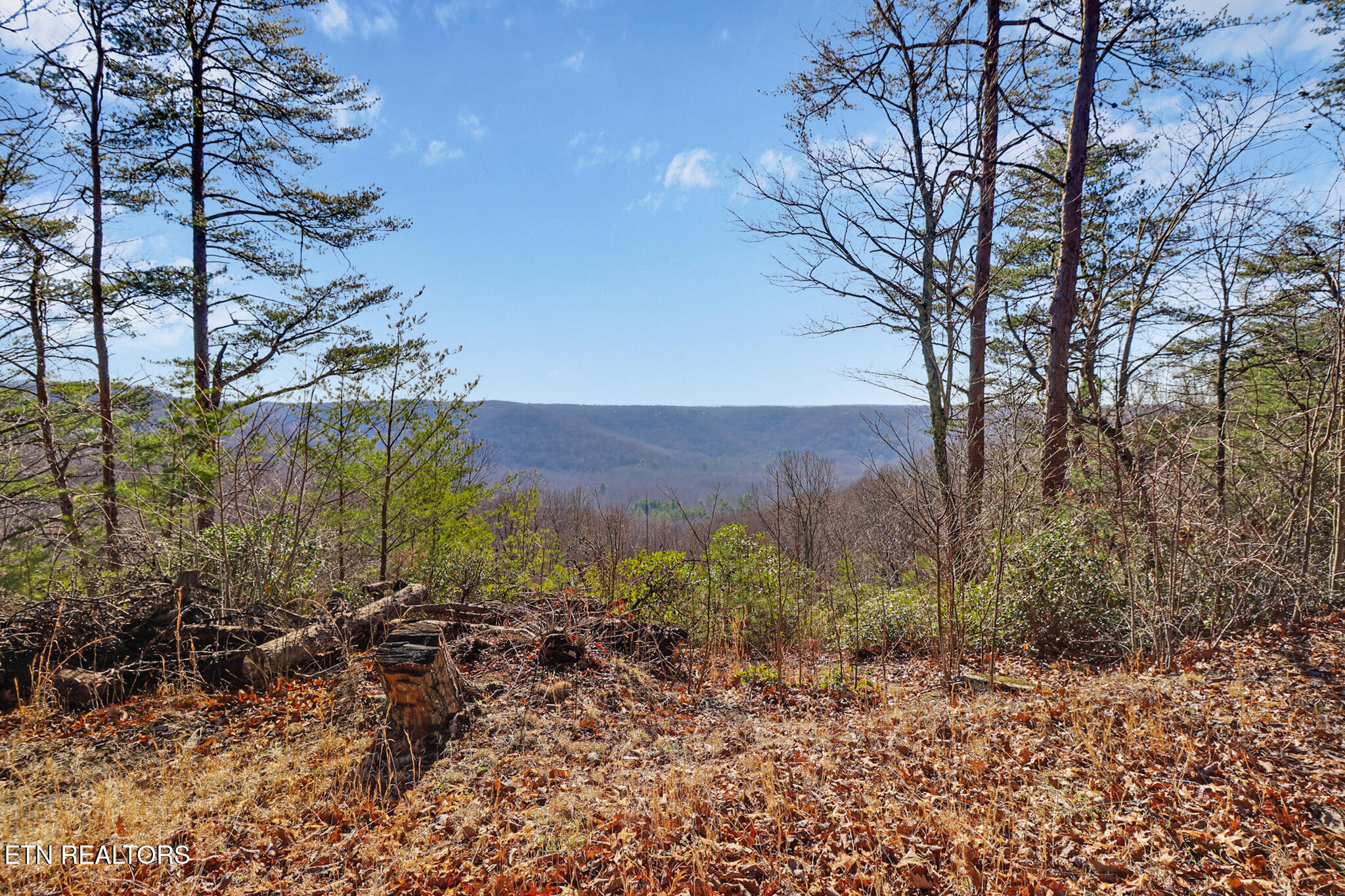 1309 Wind Rush Way Monterey TN 38574